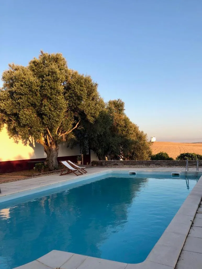 Swimming pool in Monte da Floresta B&B