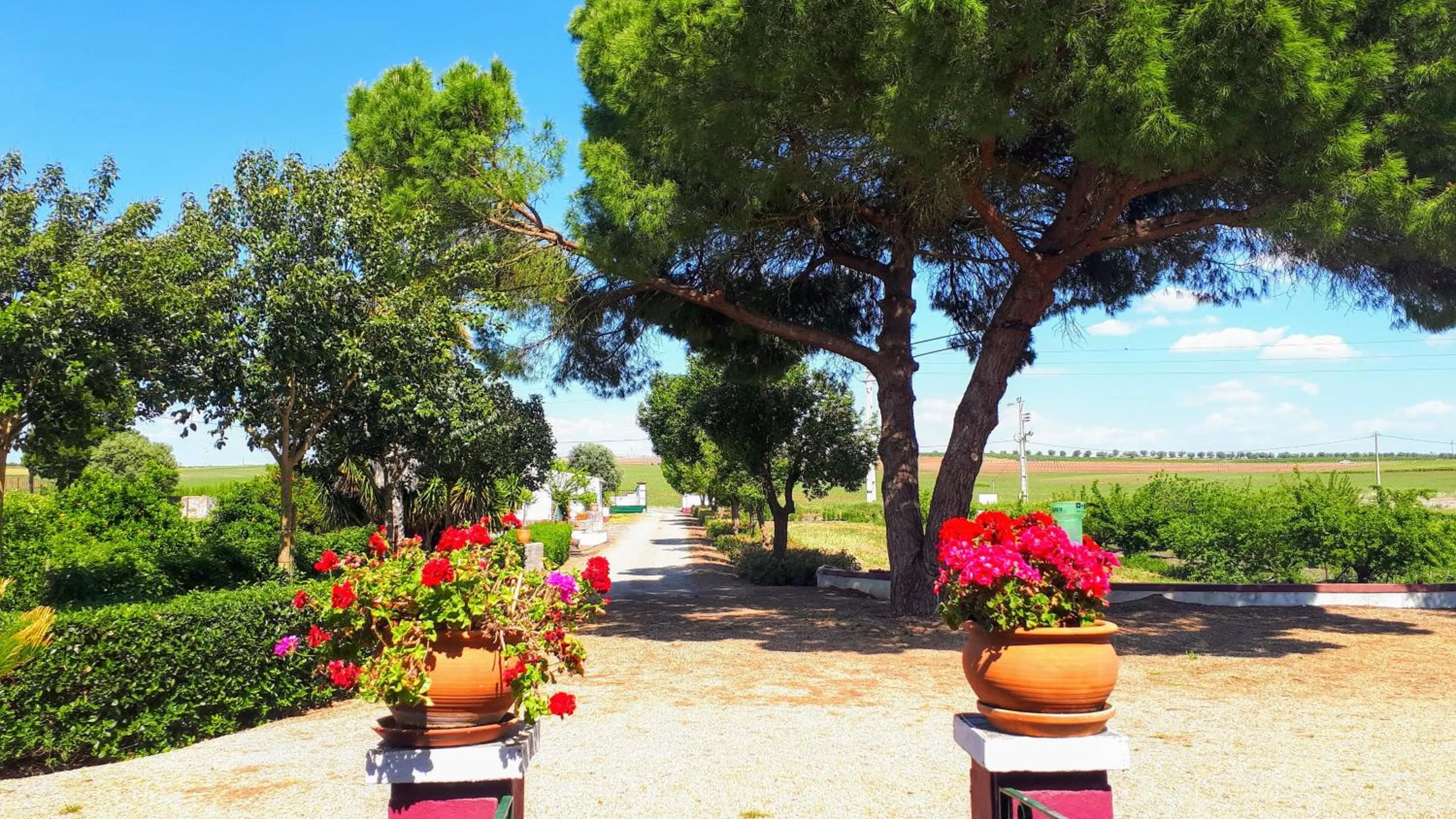 Monte da Floresta B&B