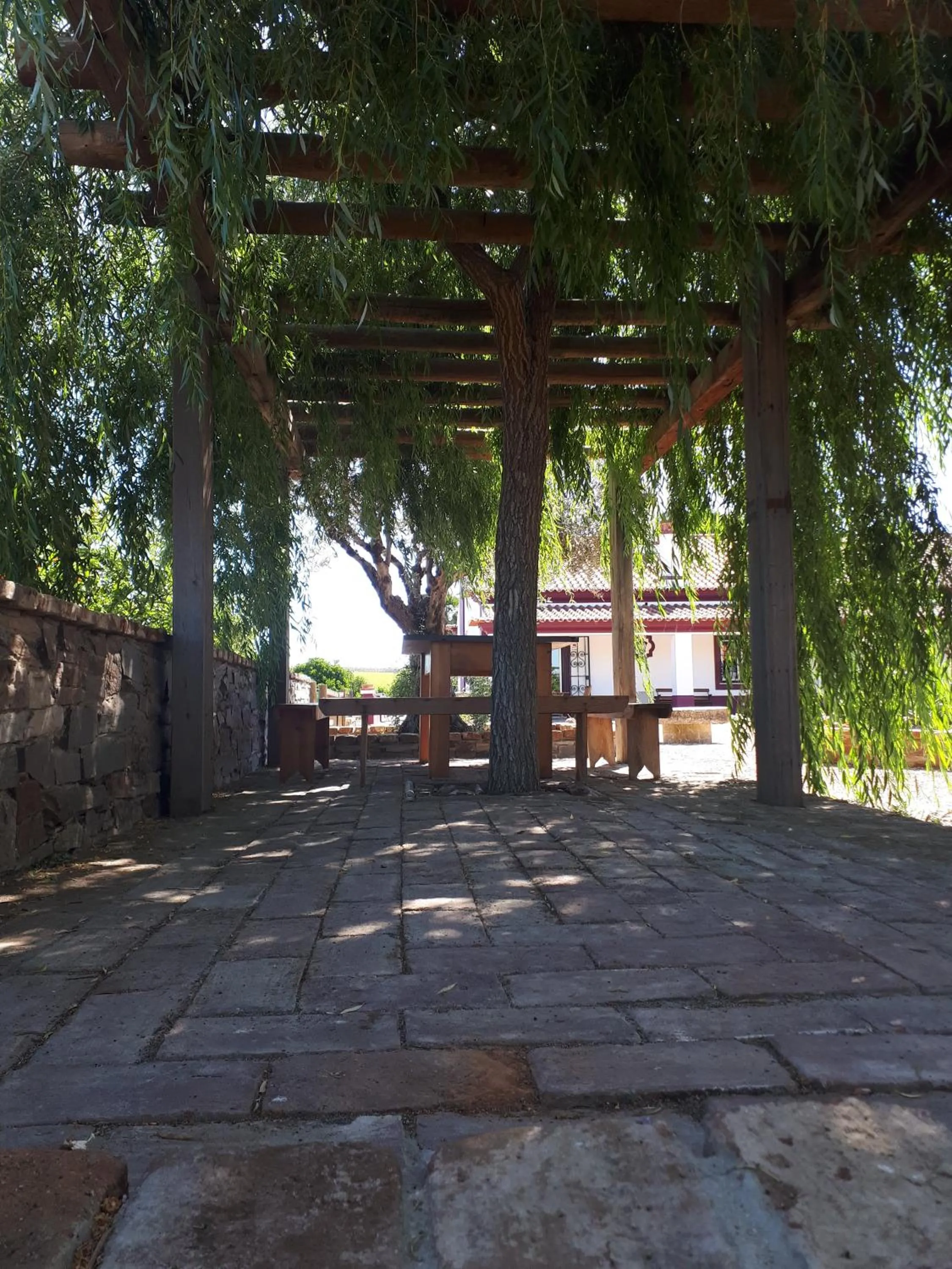 Monte da Floresta B&B