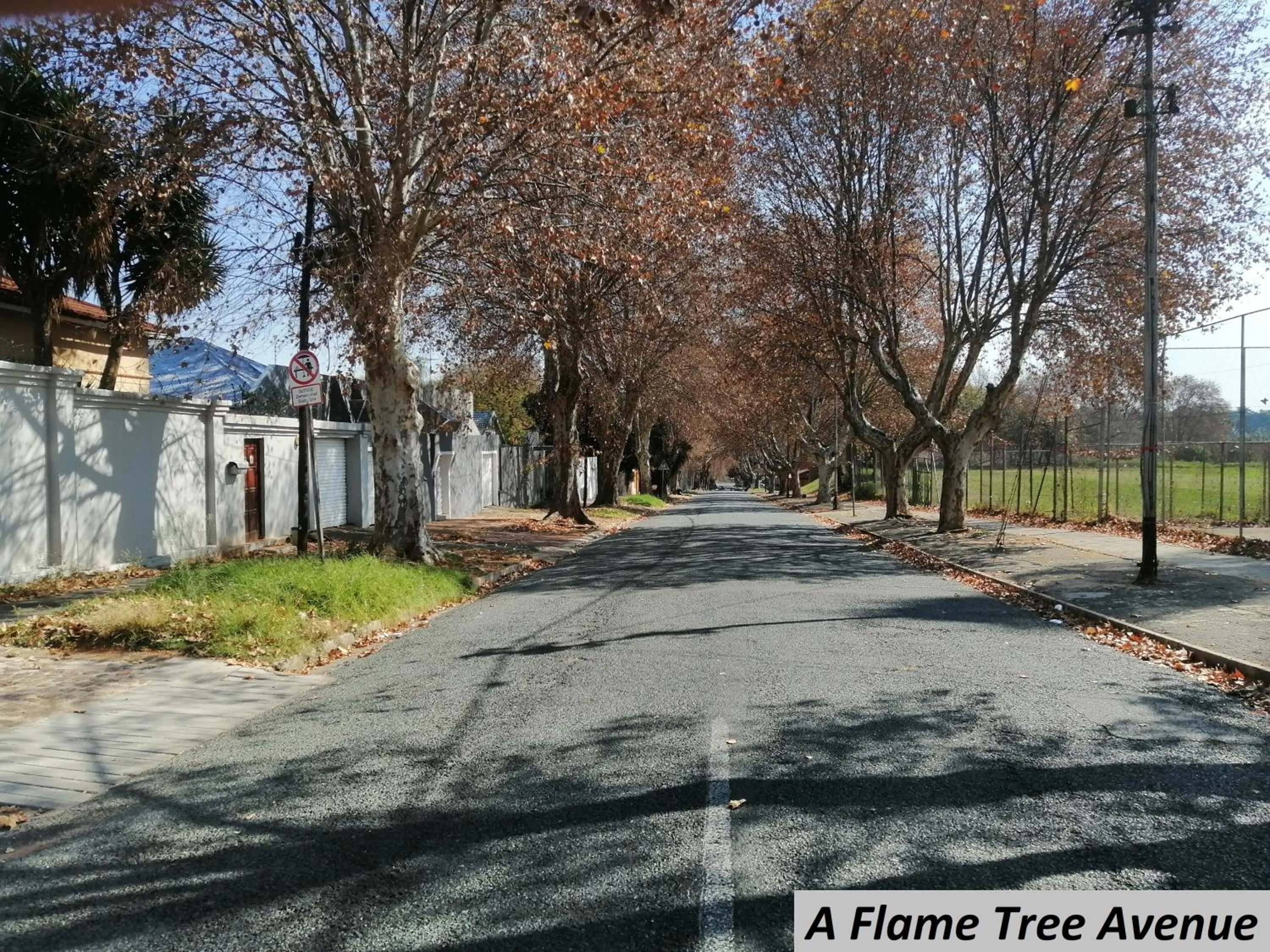 Neighbourhood in Charlie's Spot - Norwood