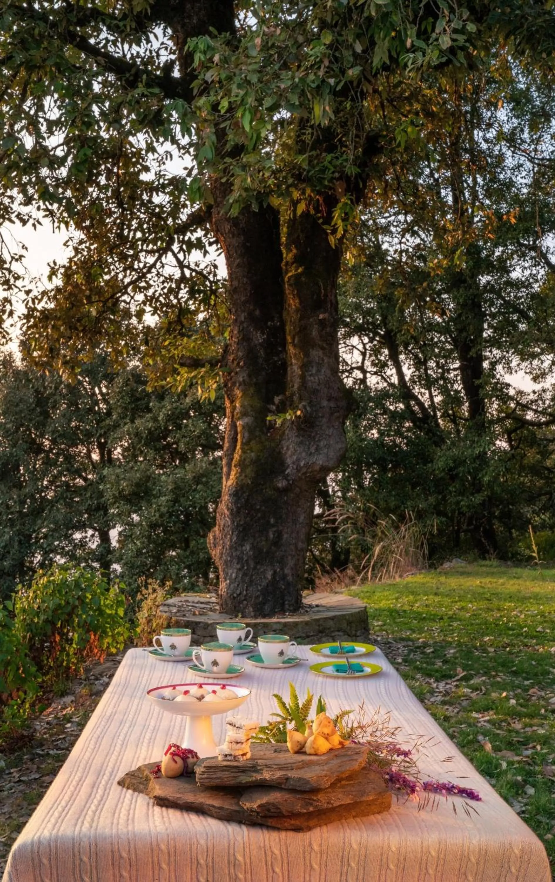 Food close-up in Mary Budden Estate