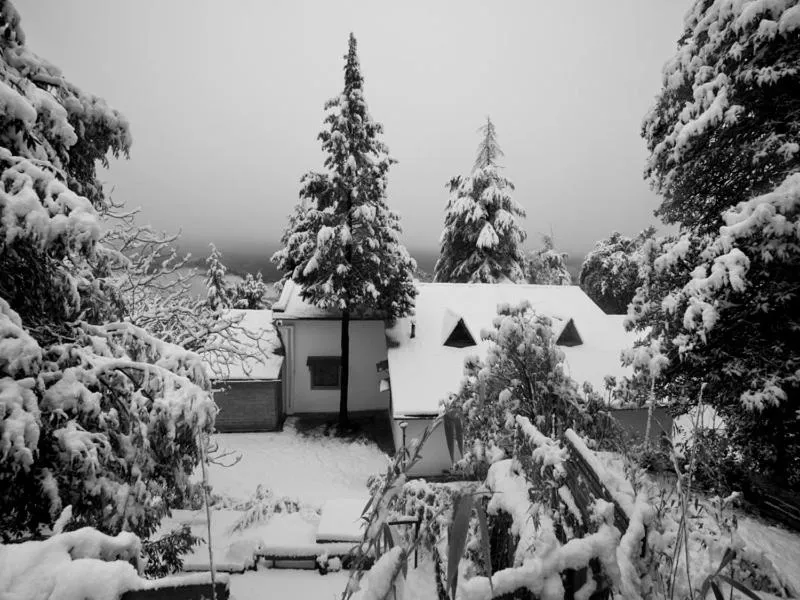 Winter in Mary Budden Estate