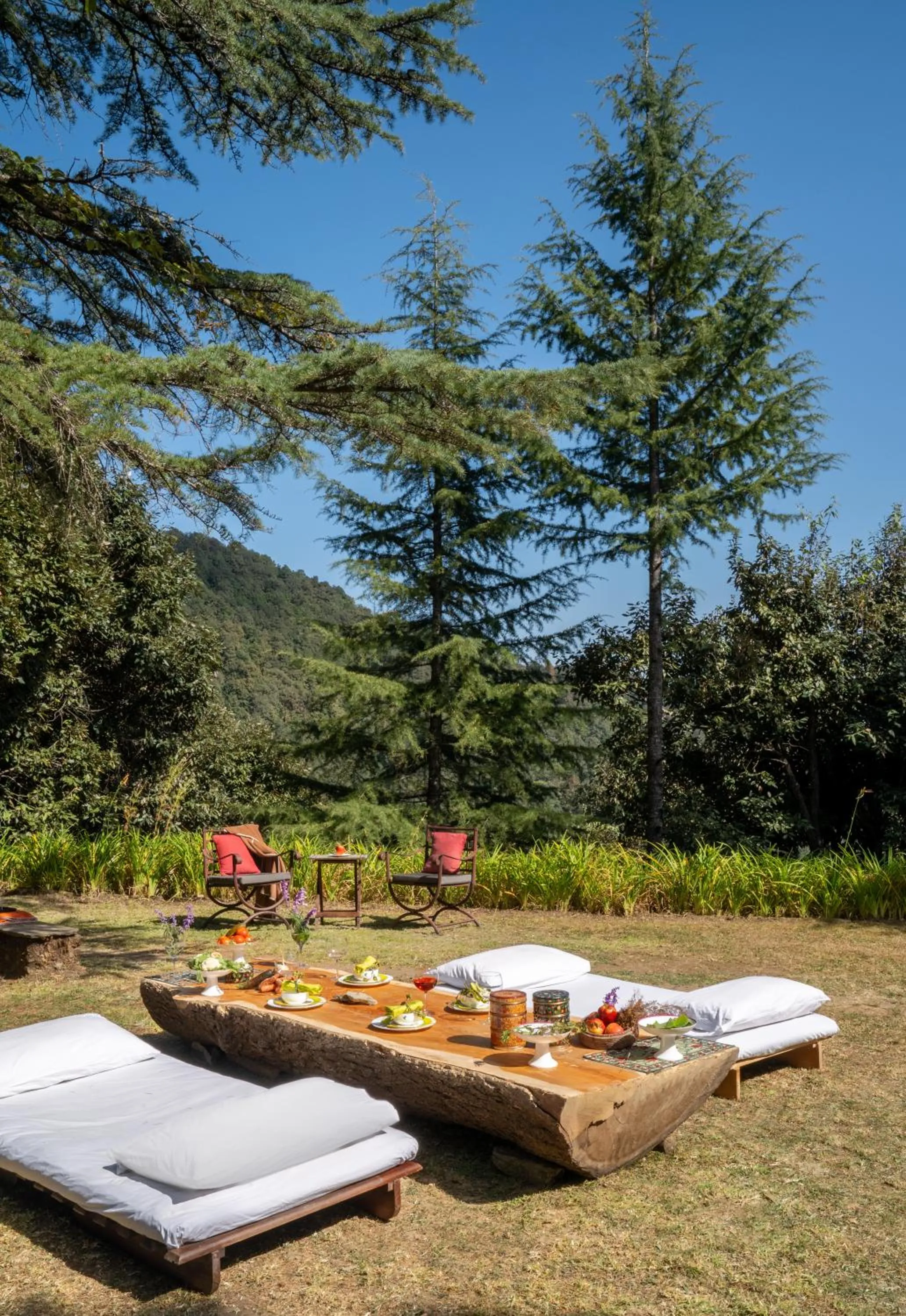 Garden in Mary Budden Estate