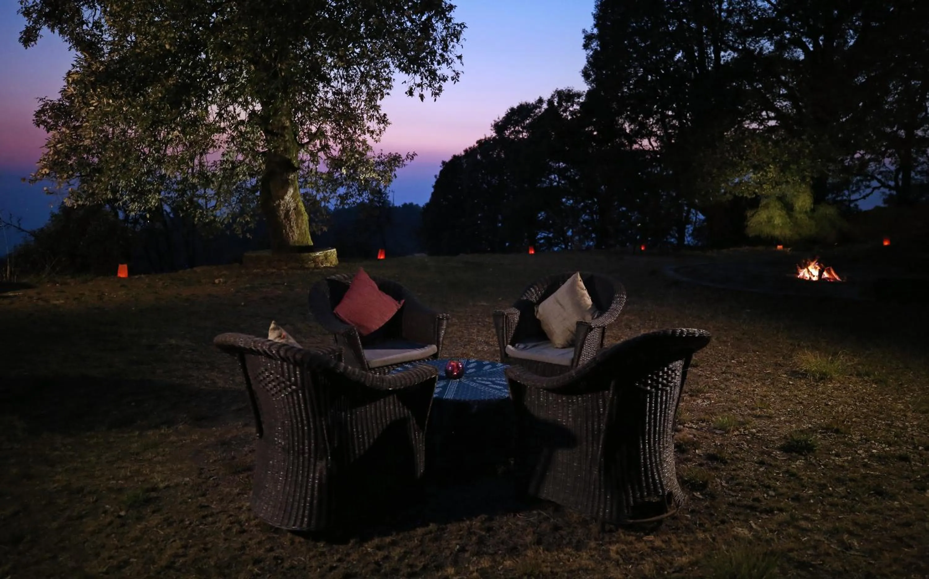 Garden in Mary Budden Estate