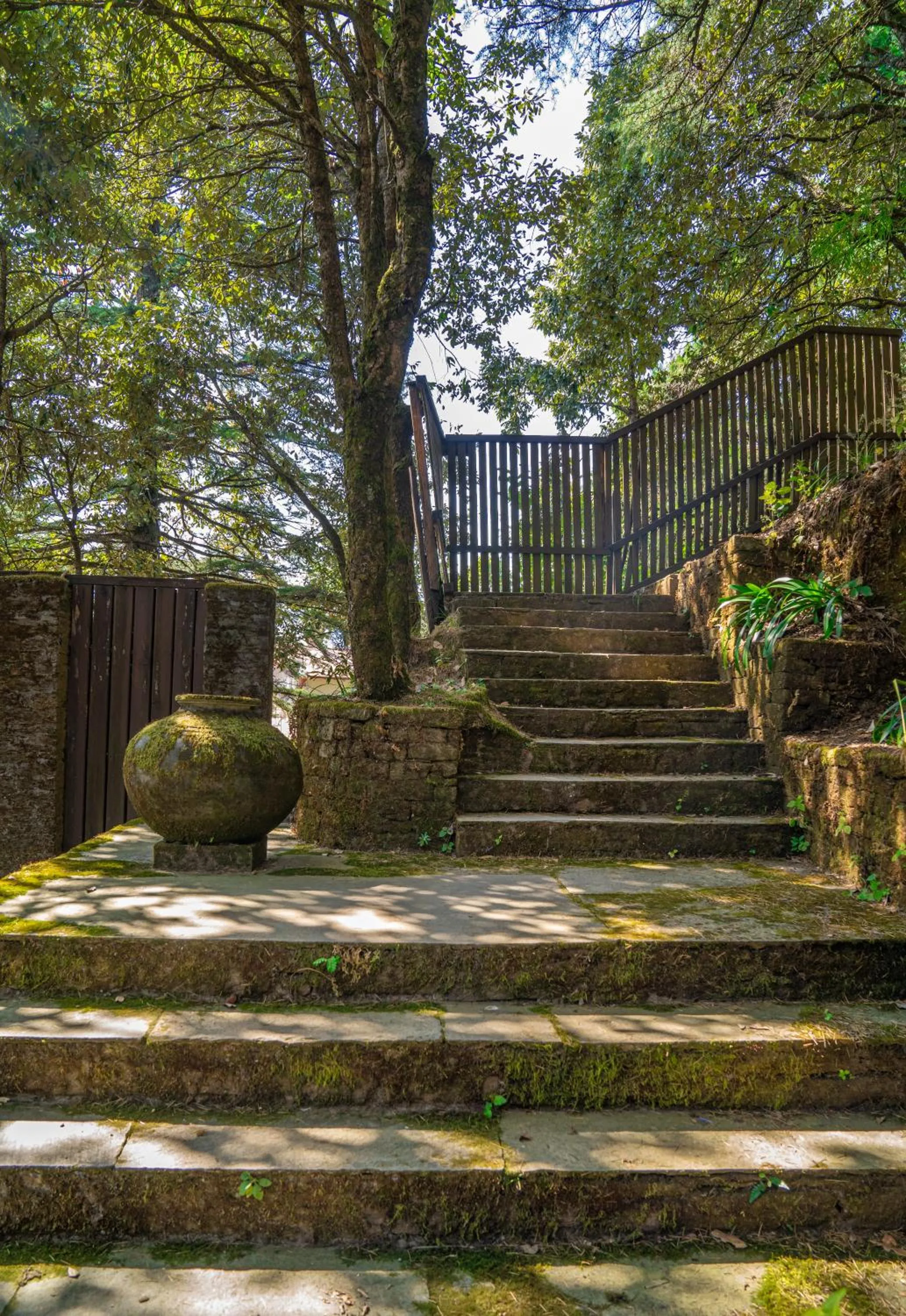 Garden in Mary Budden Estate