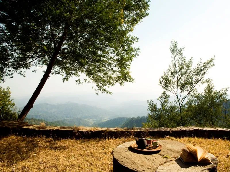 Natural landscape in Mary Budden Estate