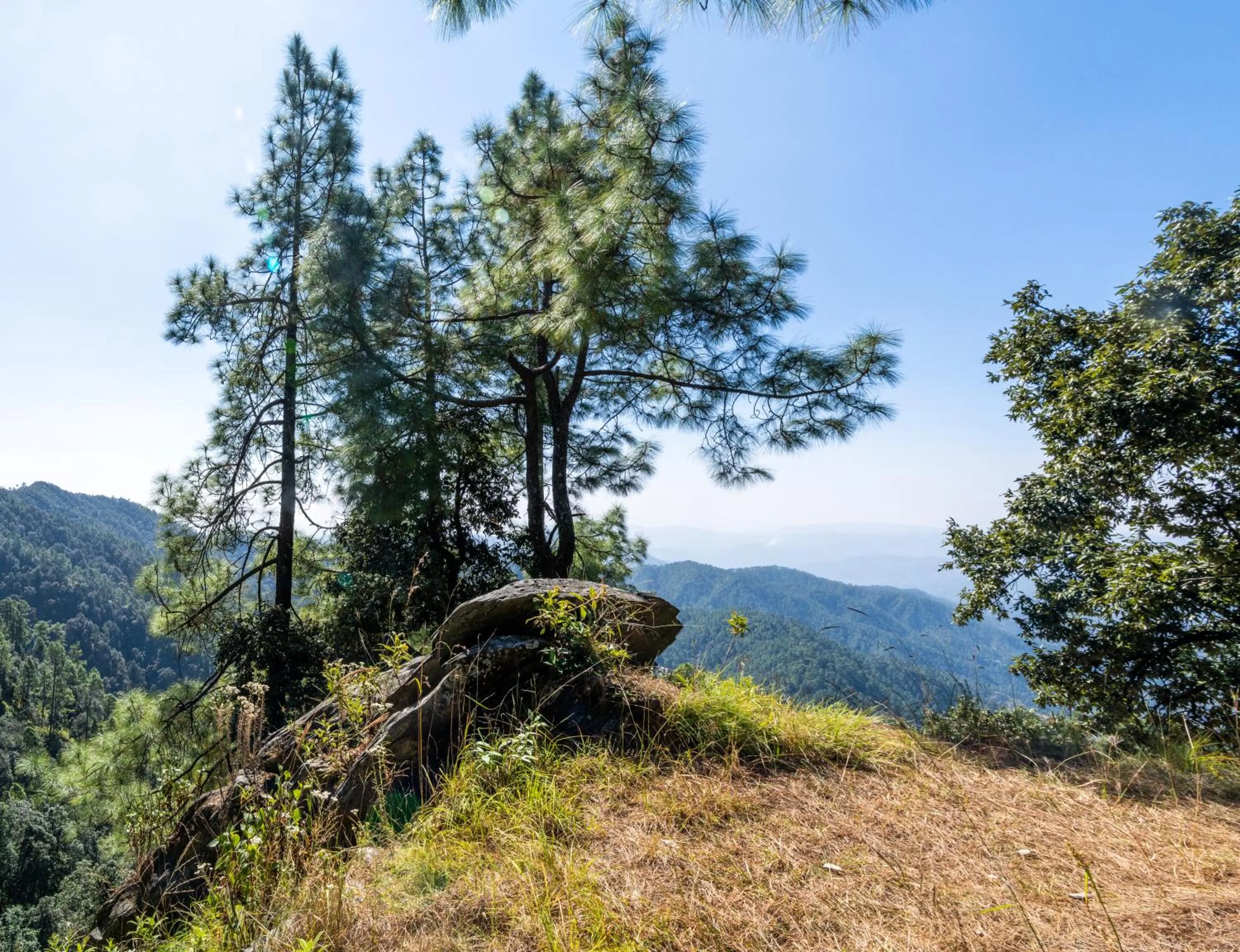 Garden in Mary Budden Estate