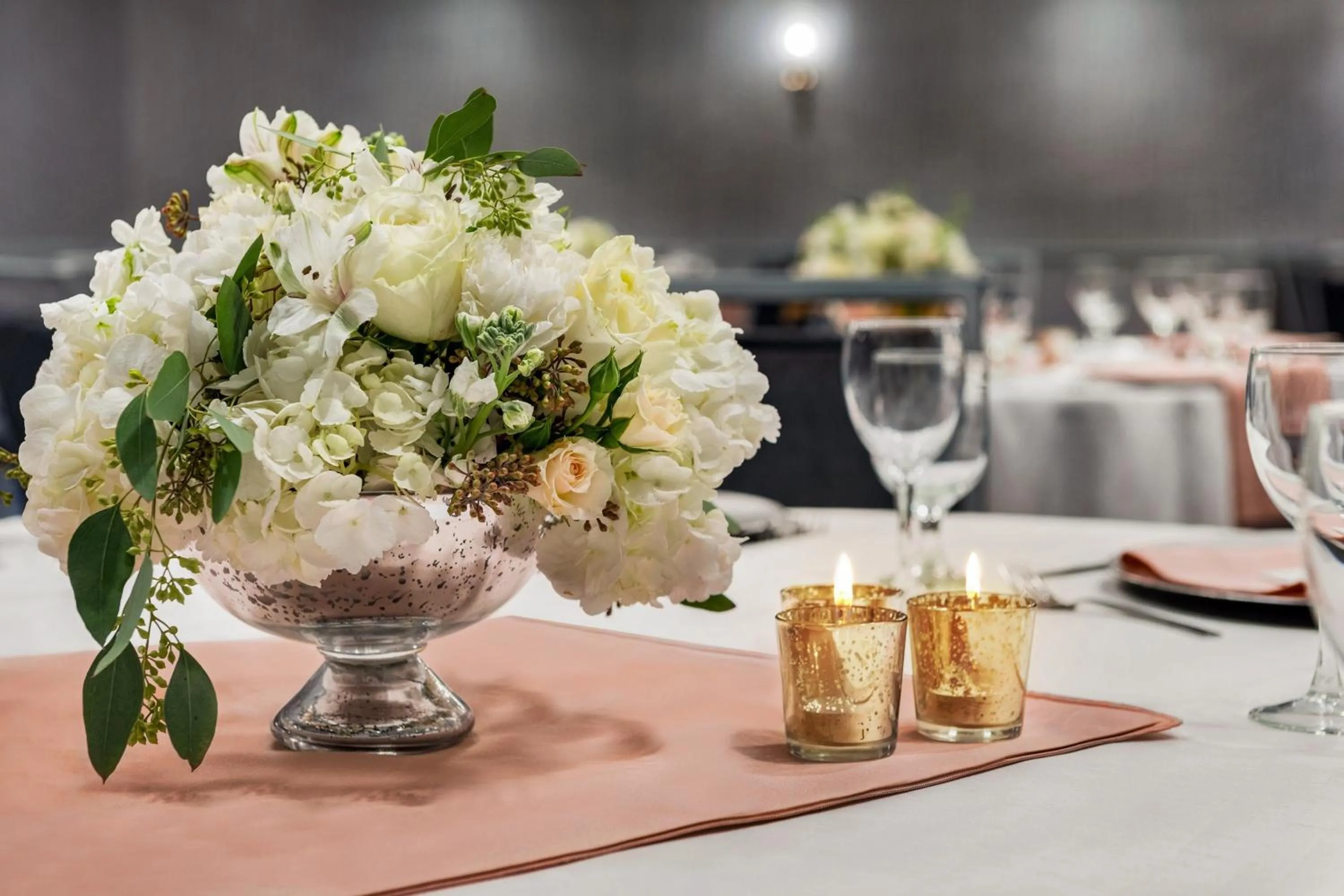 Banquet/Function facilities in Sheraton Madison Hotel