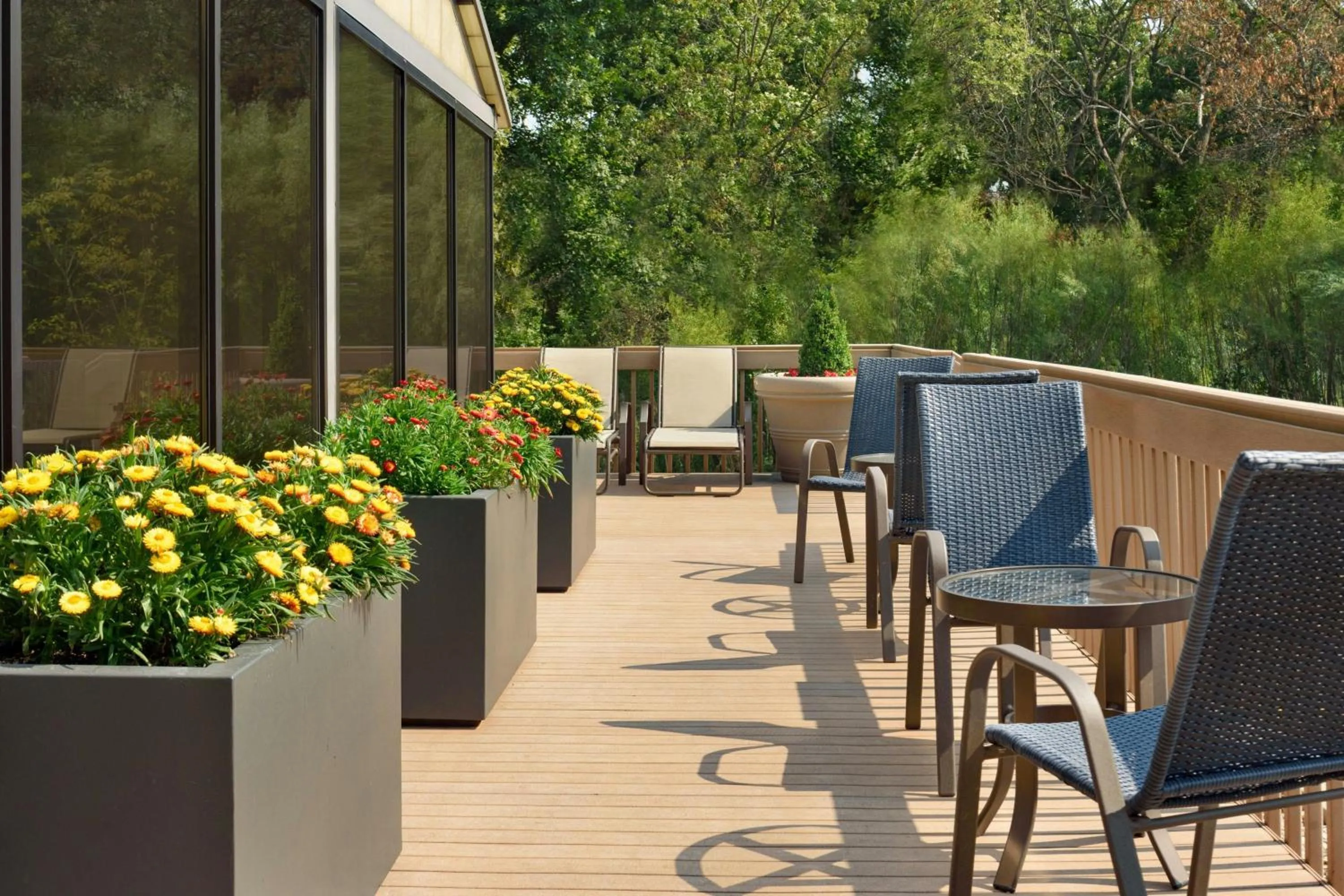 Swimming pool in Madison Marriott South