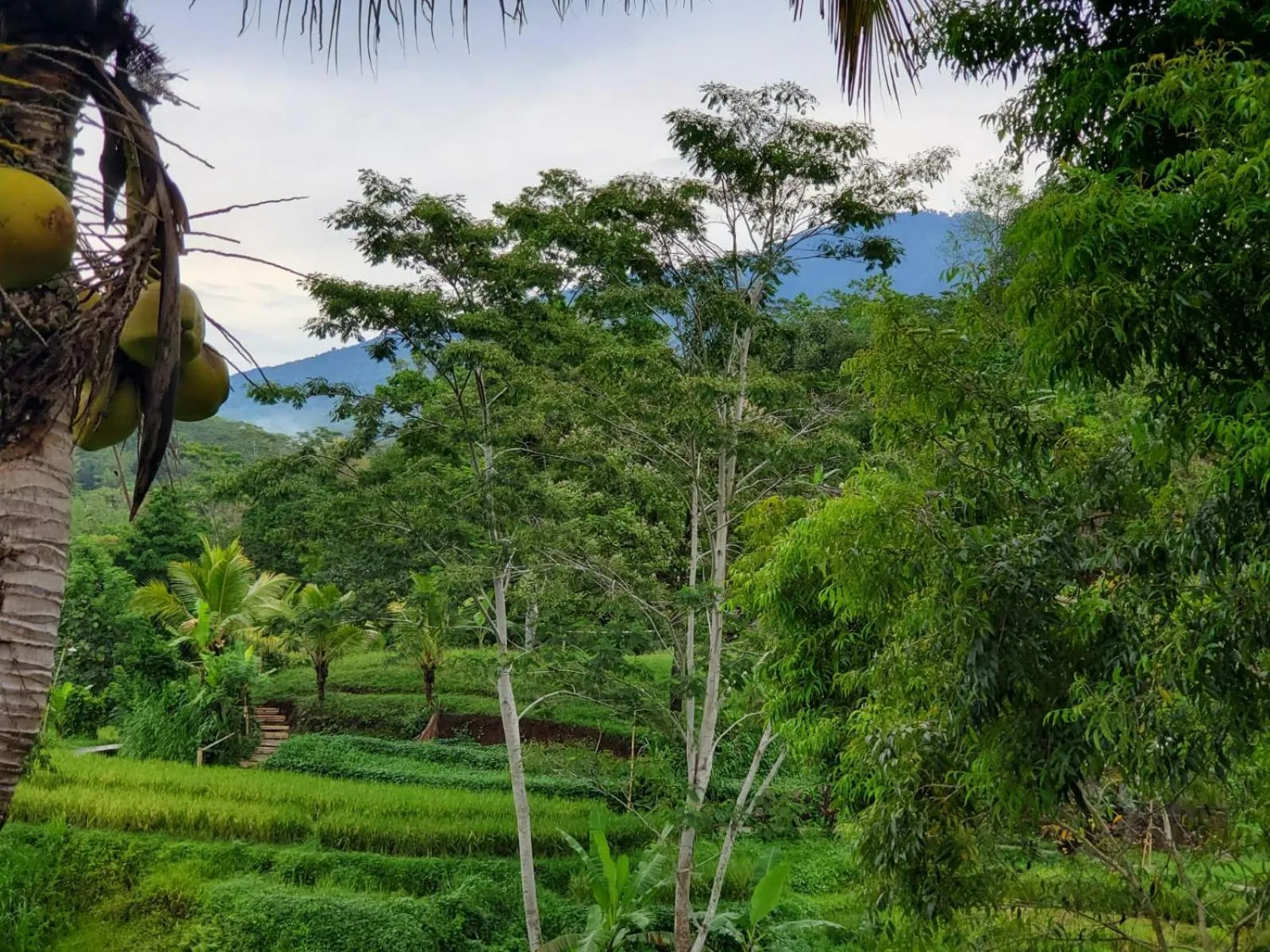 Natural landscape in Sang Tirta Resort