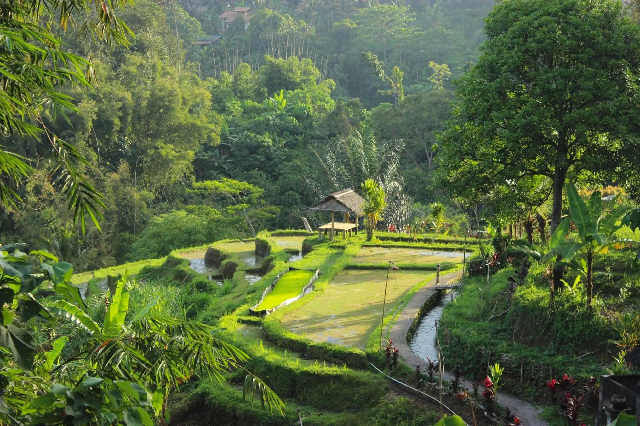 Natural landscape in Sang Tirta Resort