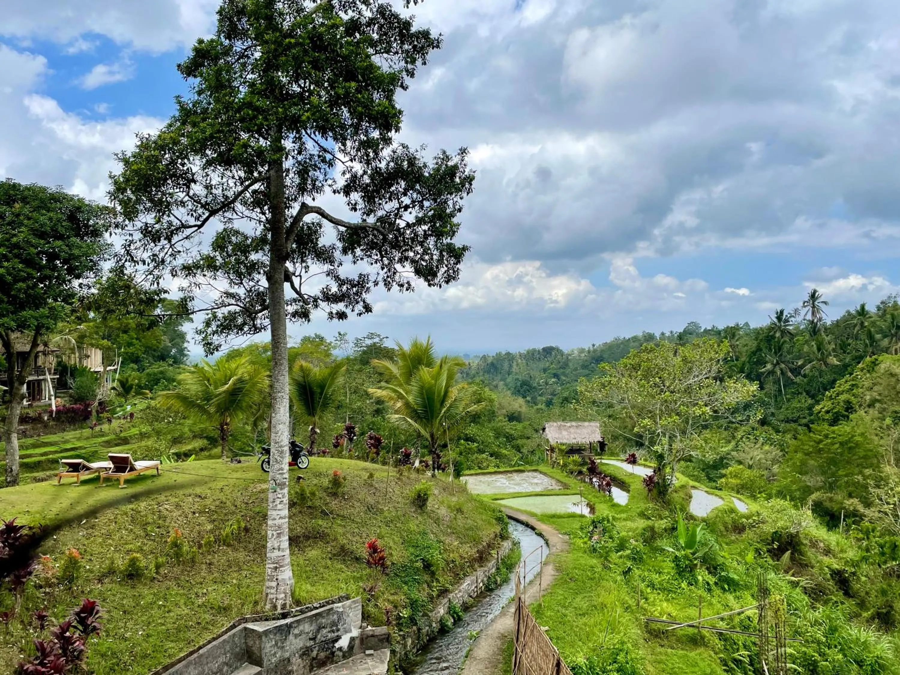 Garden in Sang Tirta Resort