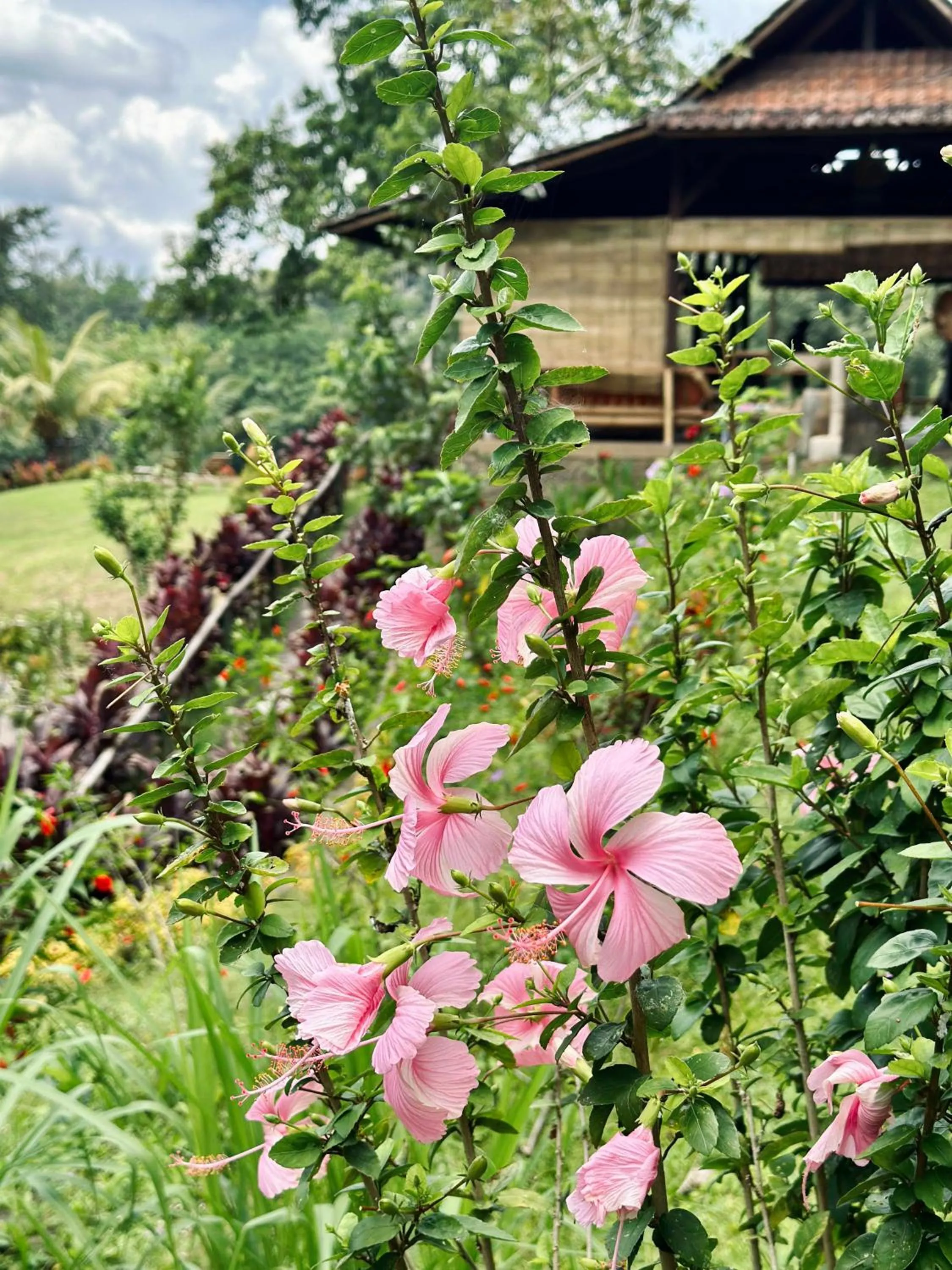 Spring in Sang Tirta Resort