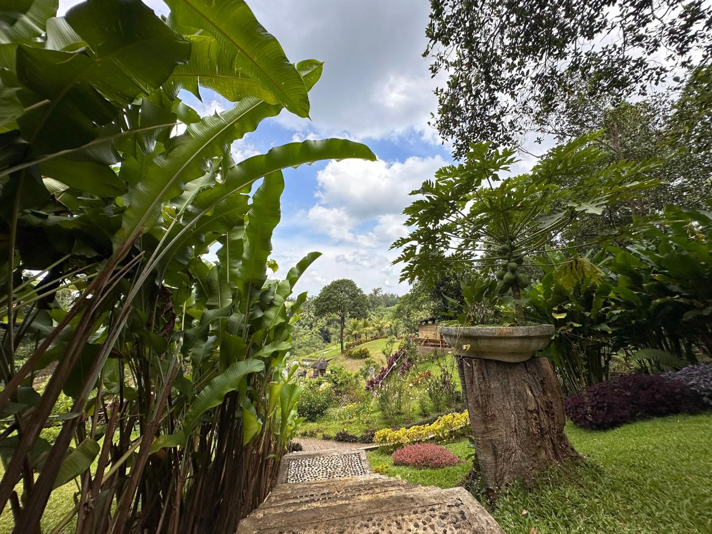 Natural landscape in Sang Tirta Resort