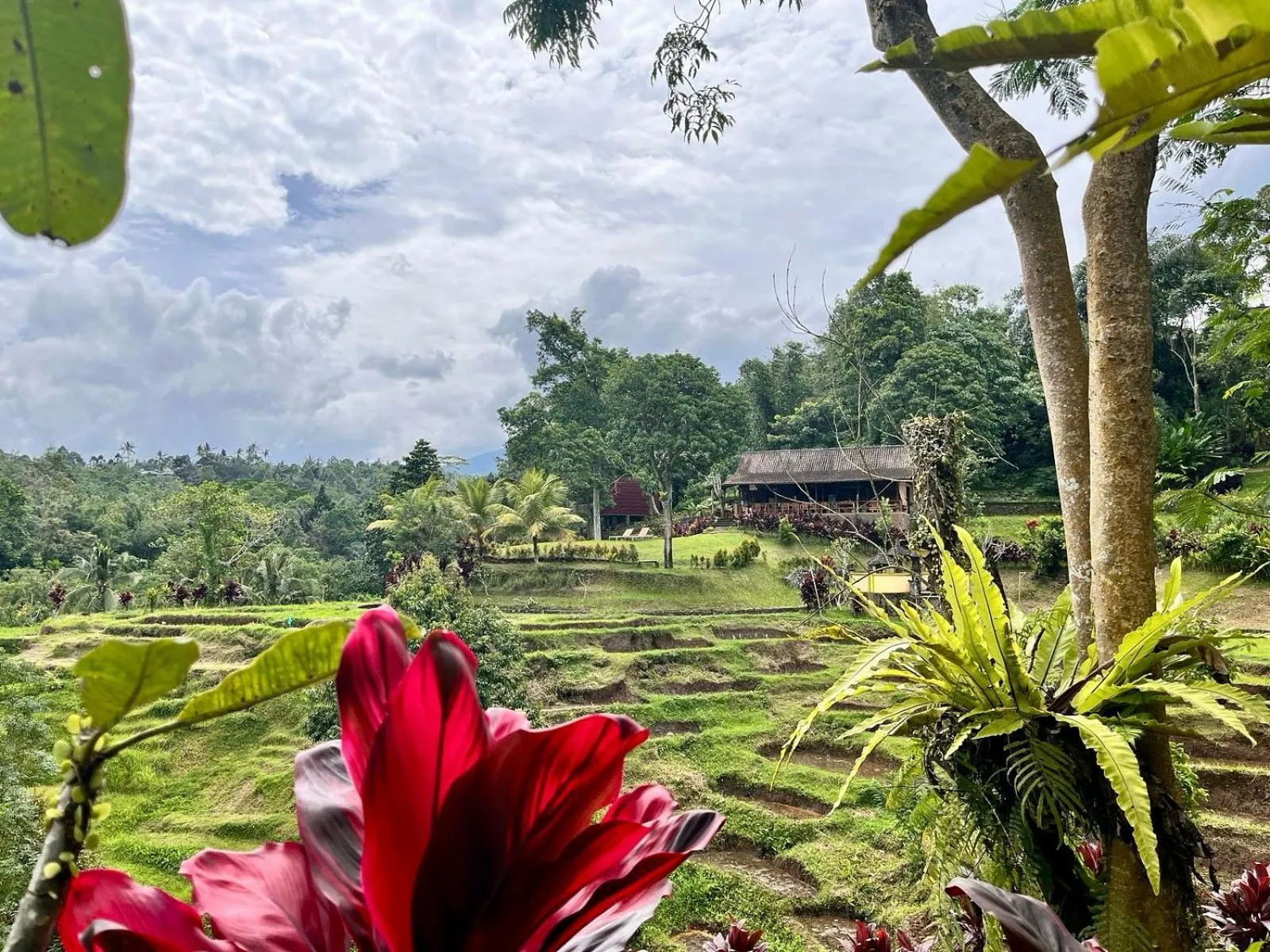 Restaurant/places to eat in Sang Tirta Resort