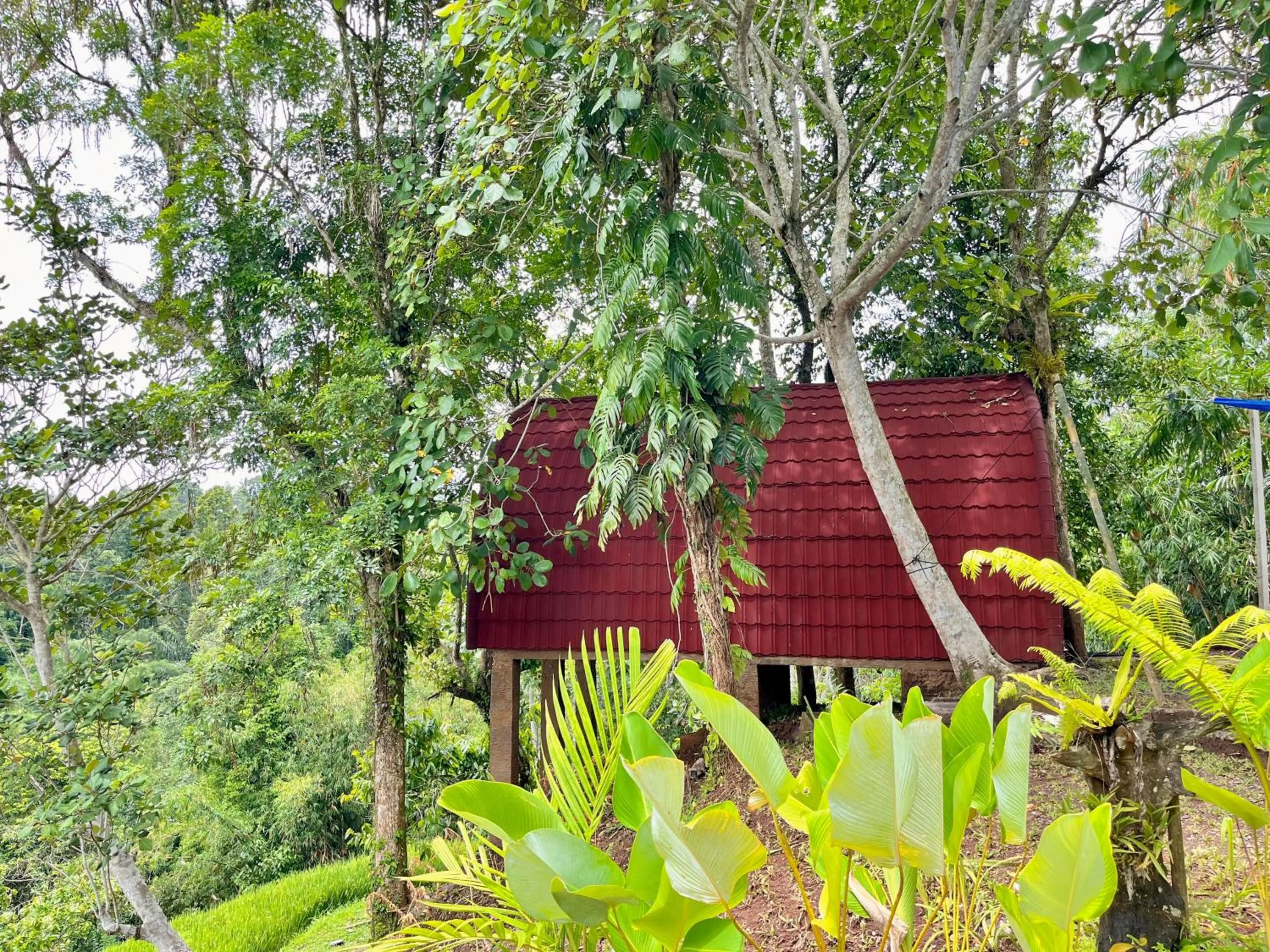 Garden view in Sang Tirta Resort