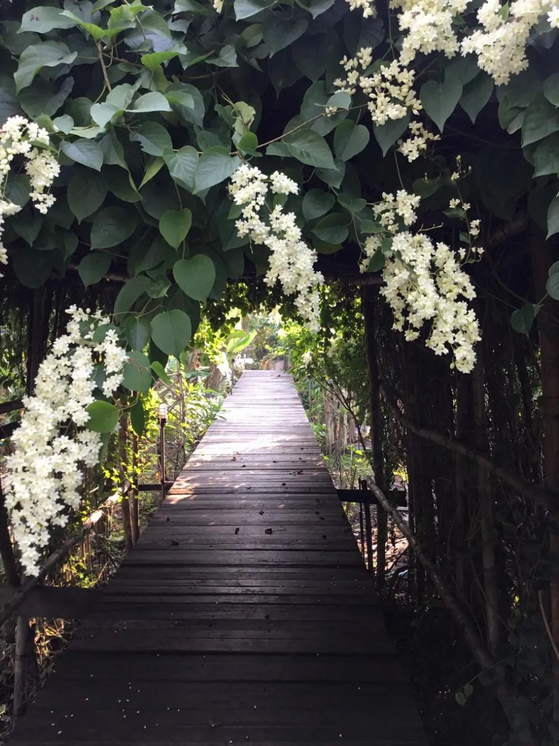 Other in Rustic​ Charm​ Suphan​