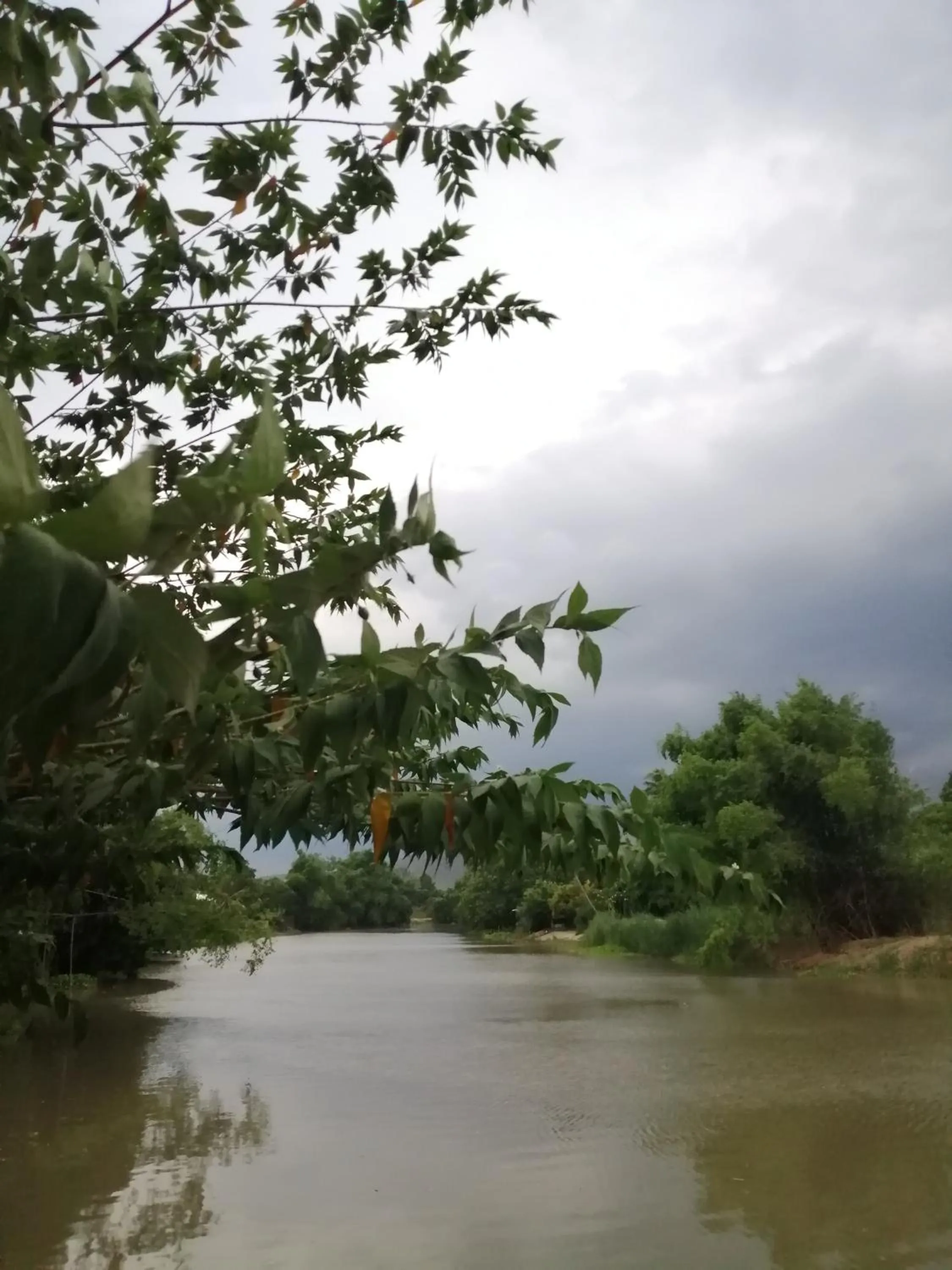 Natural landscape in Rustic​ Charm​ Suphan​