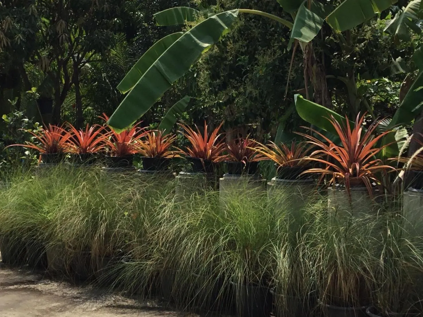 Property building in Rustic​ Charm​ Suphan​