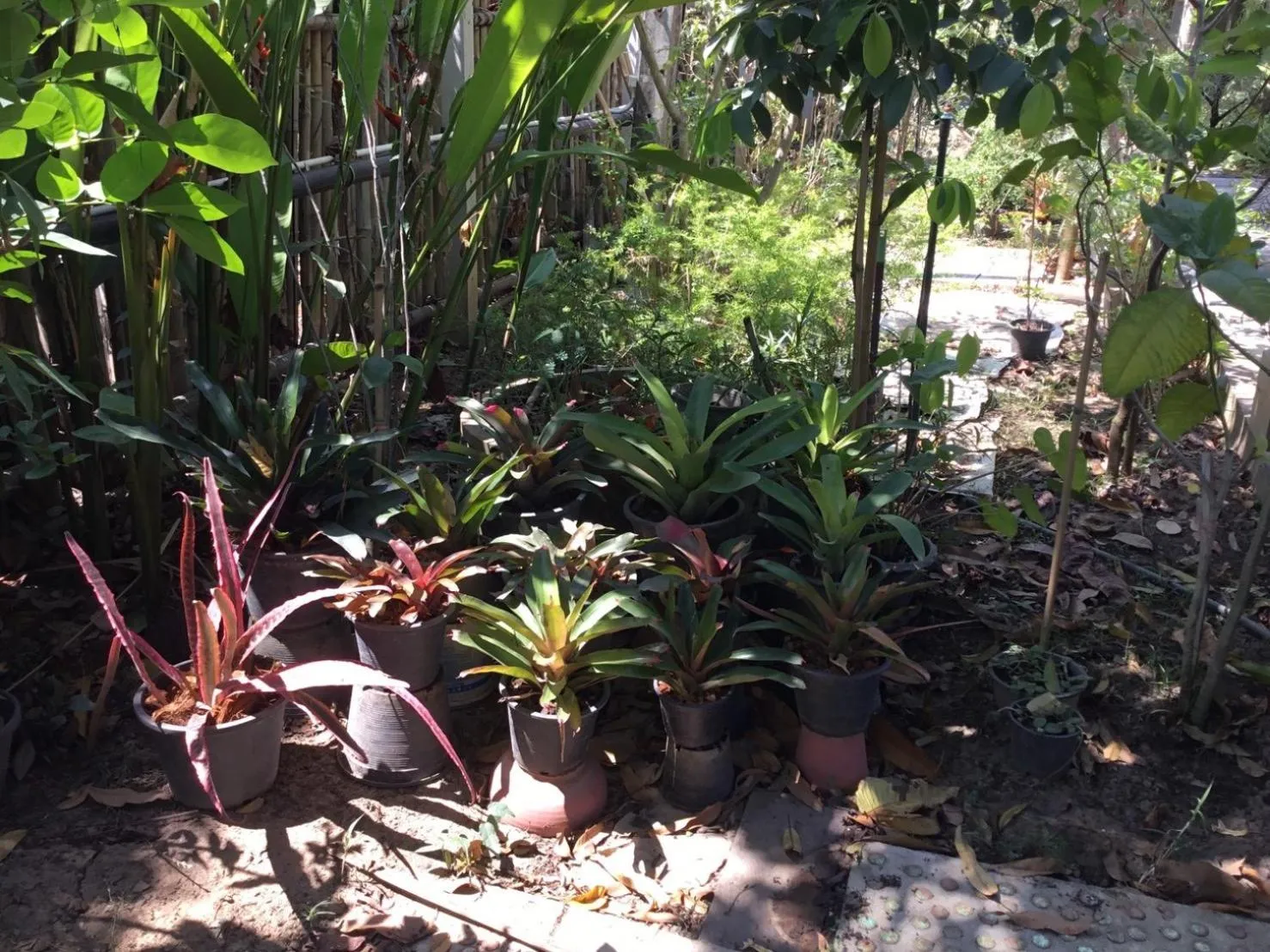 Property building in Rustic​ Charm​ Suphan​