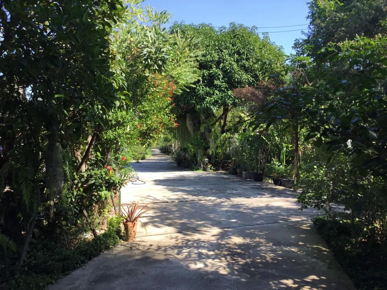 Natural landscape in Rustic​ Charm​ Suphan​