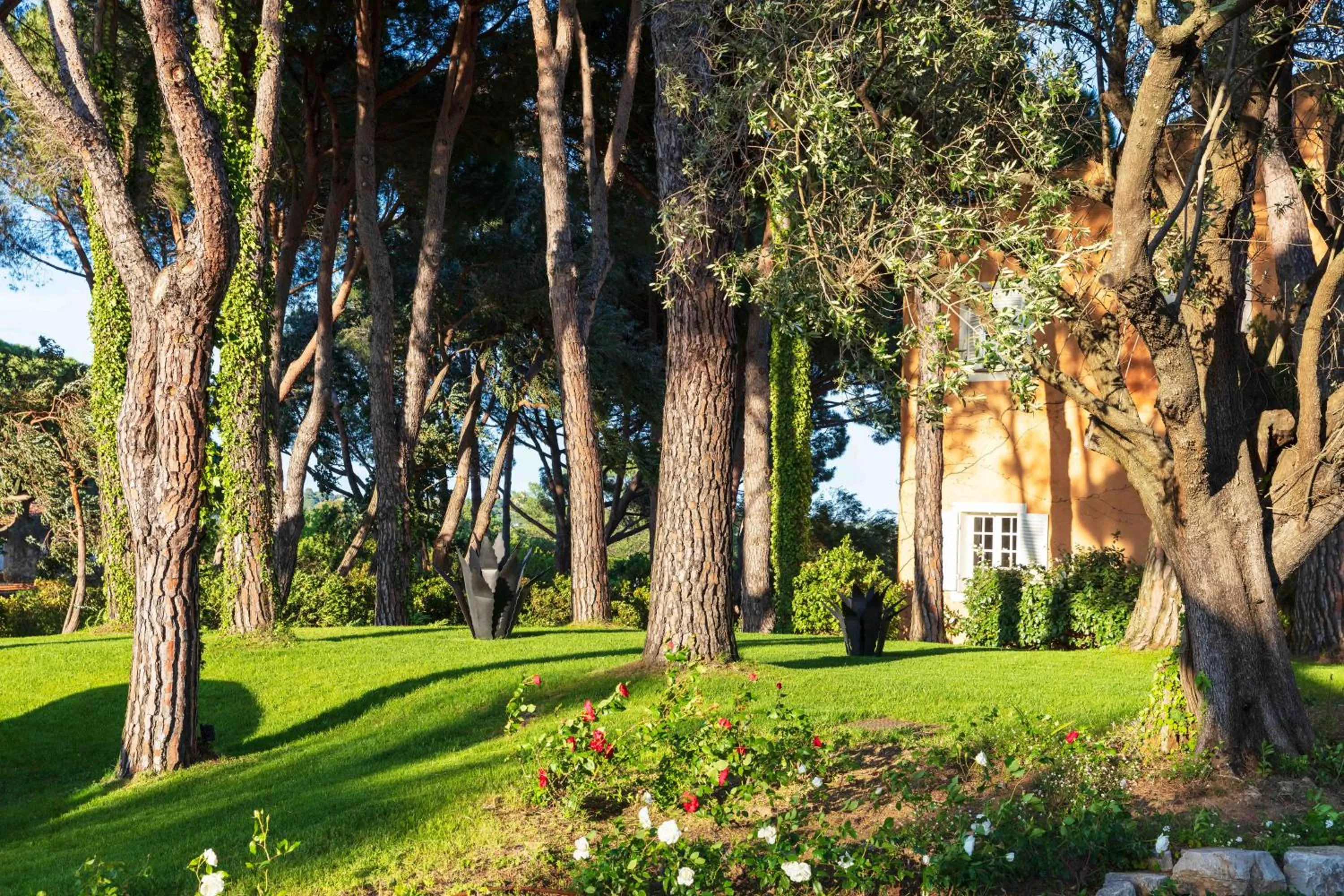 Garden in Hôtel La Mandarine