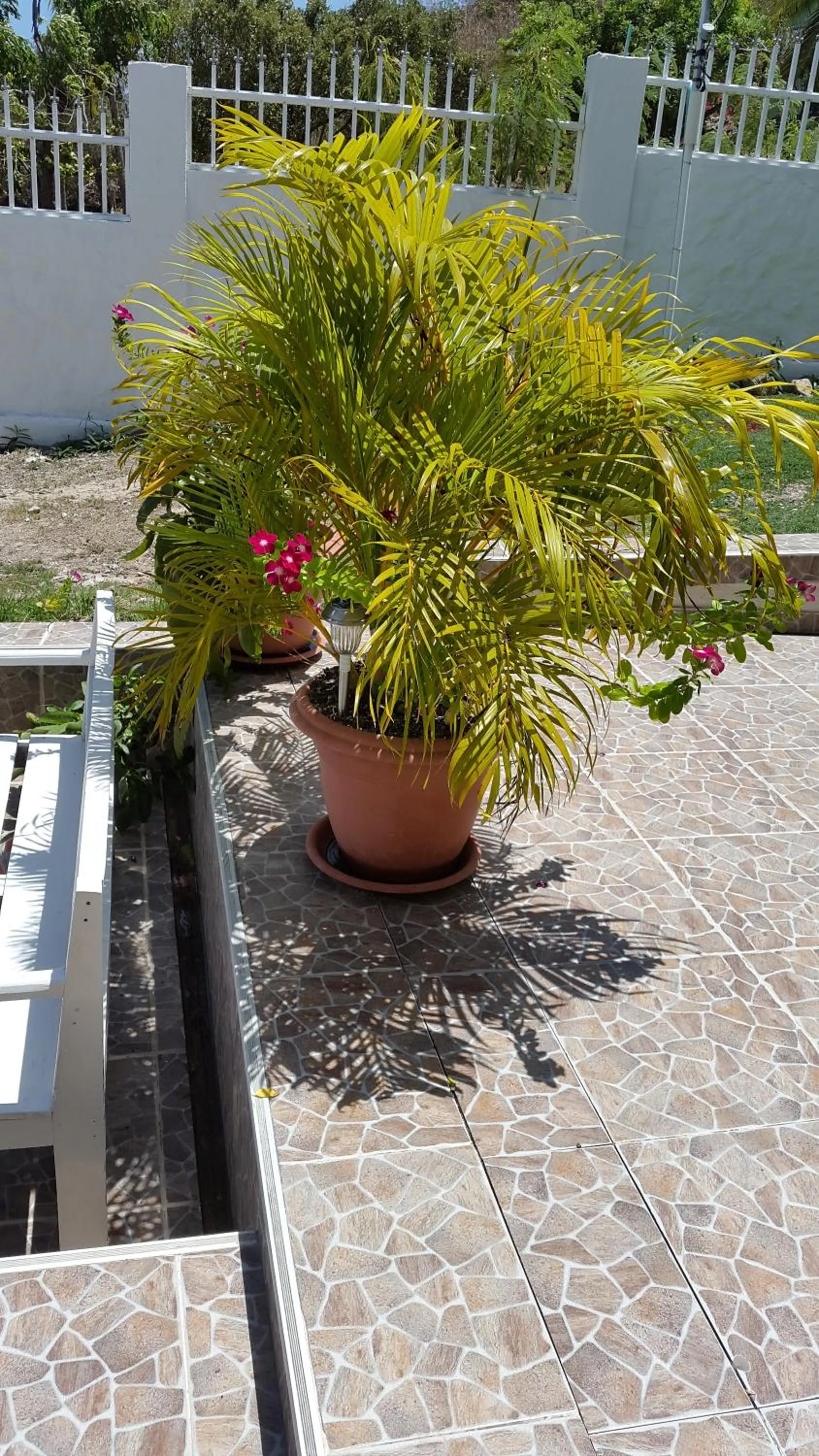 Day in Hotel Posada Enilda