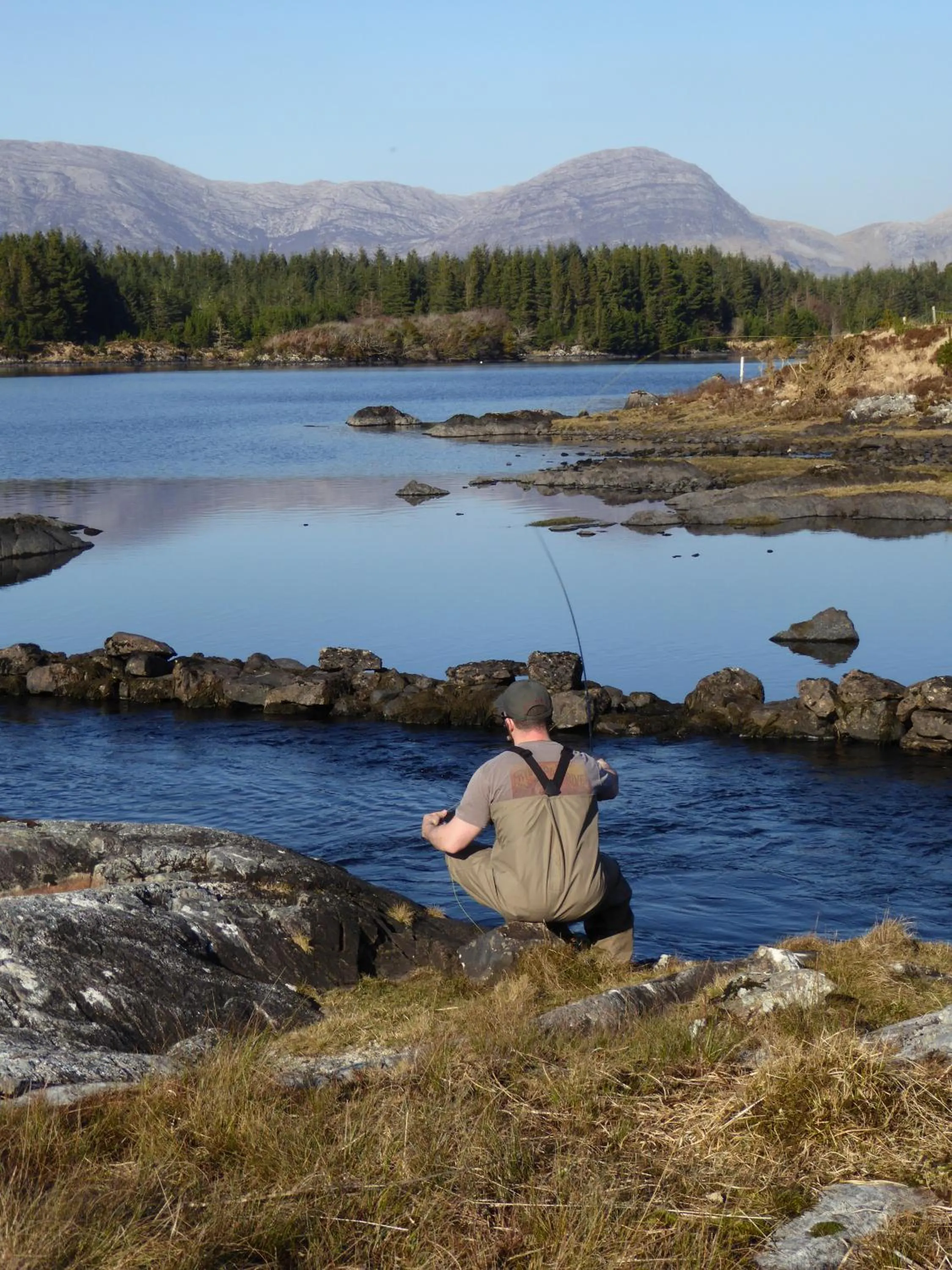 Natural landscape in Camillaun Lodge with Lough Corrib Boat Hire