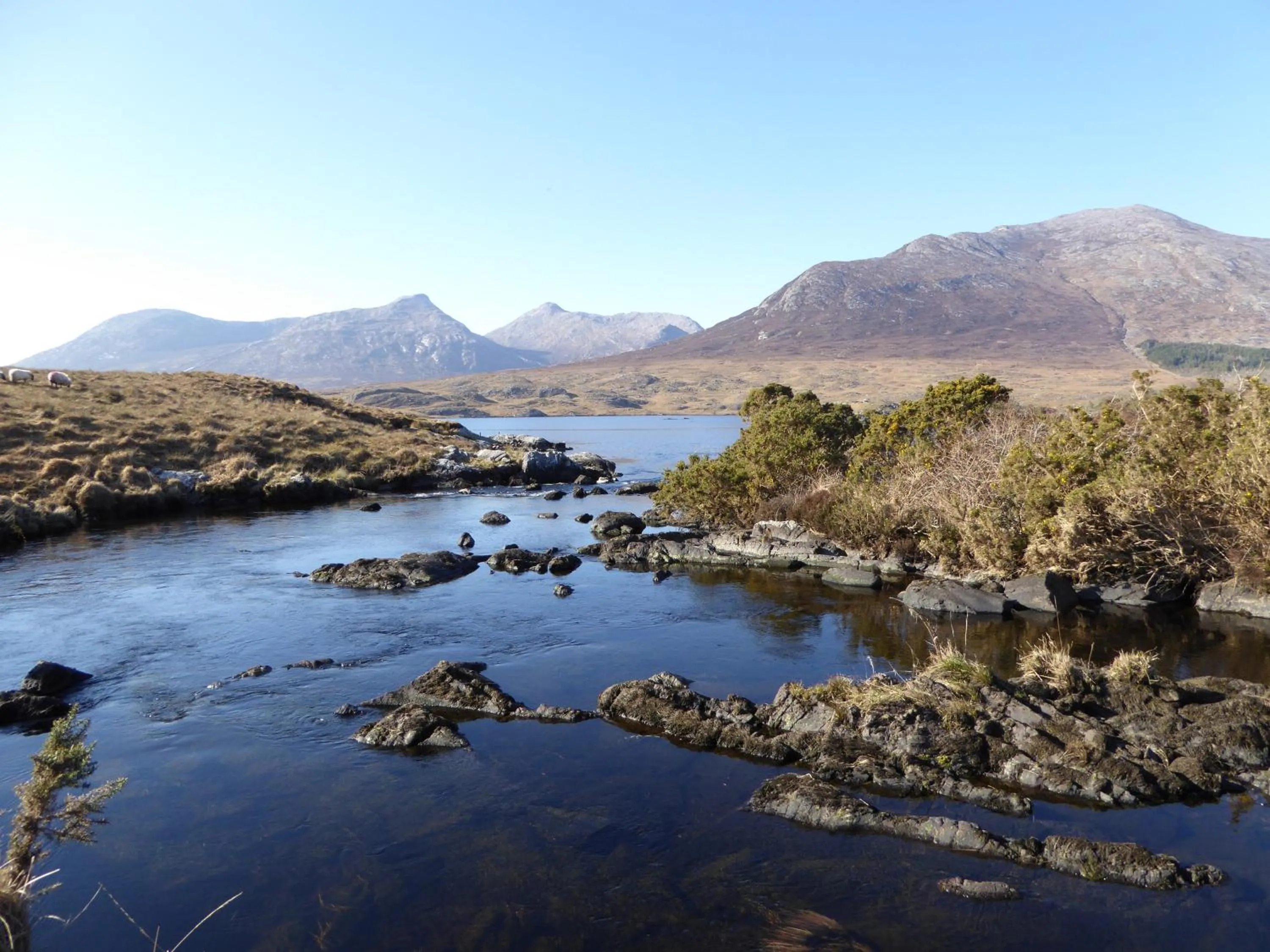 Camillaun Lodge with Lough Corrib Boat Hire