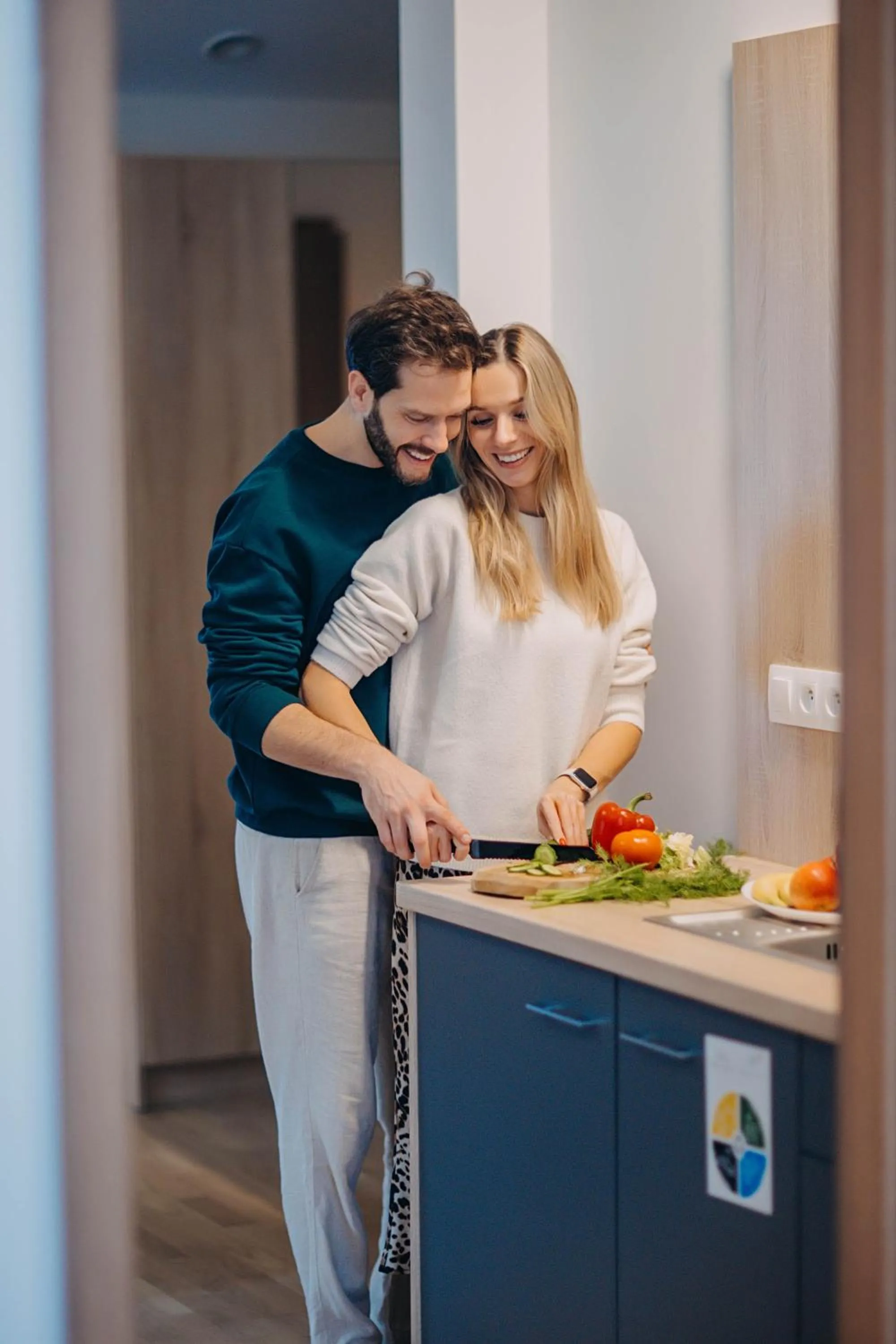 Kitchen or kitchenette in Green Apartments