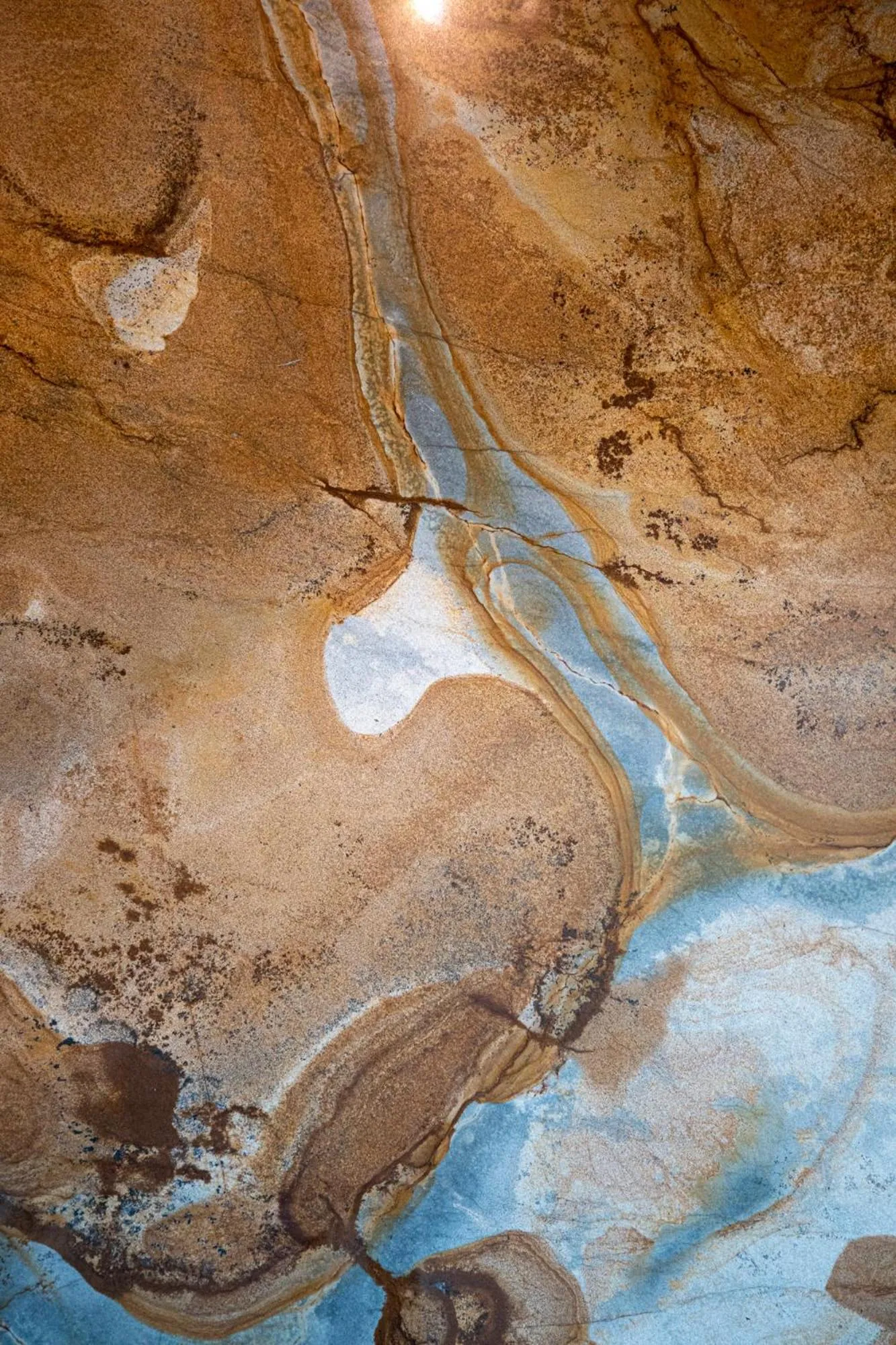 Natural landscape in MFB Tarabya Hotel