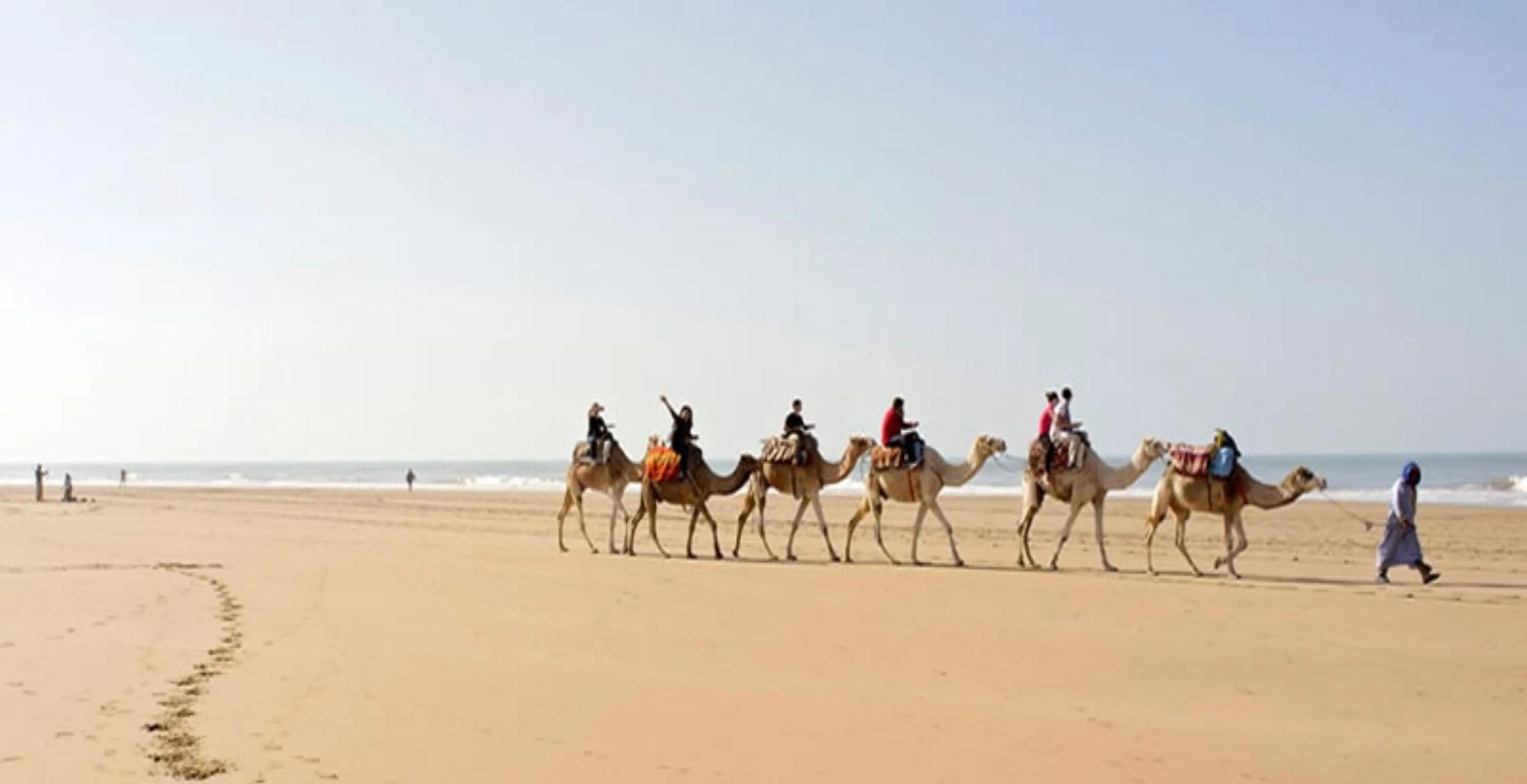 Natural landscape in Dar Les Sirènes