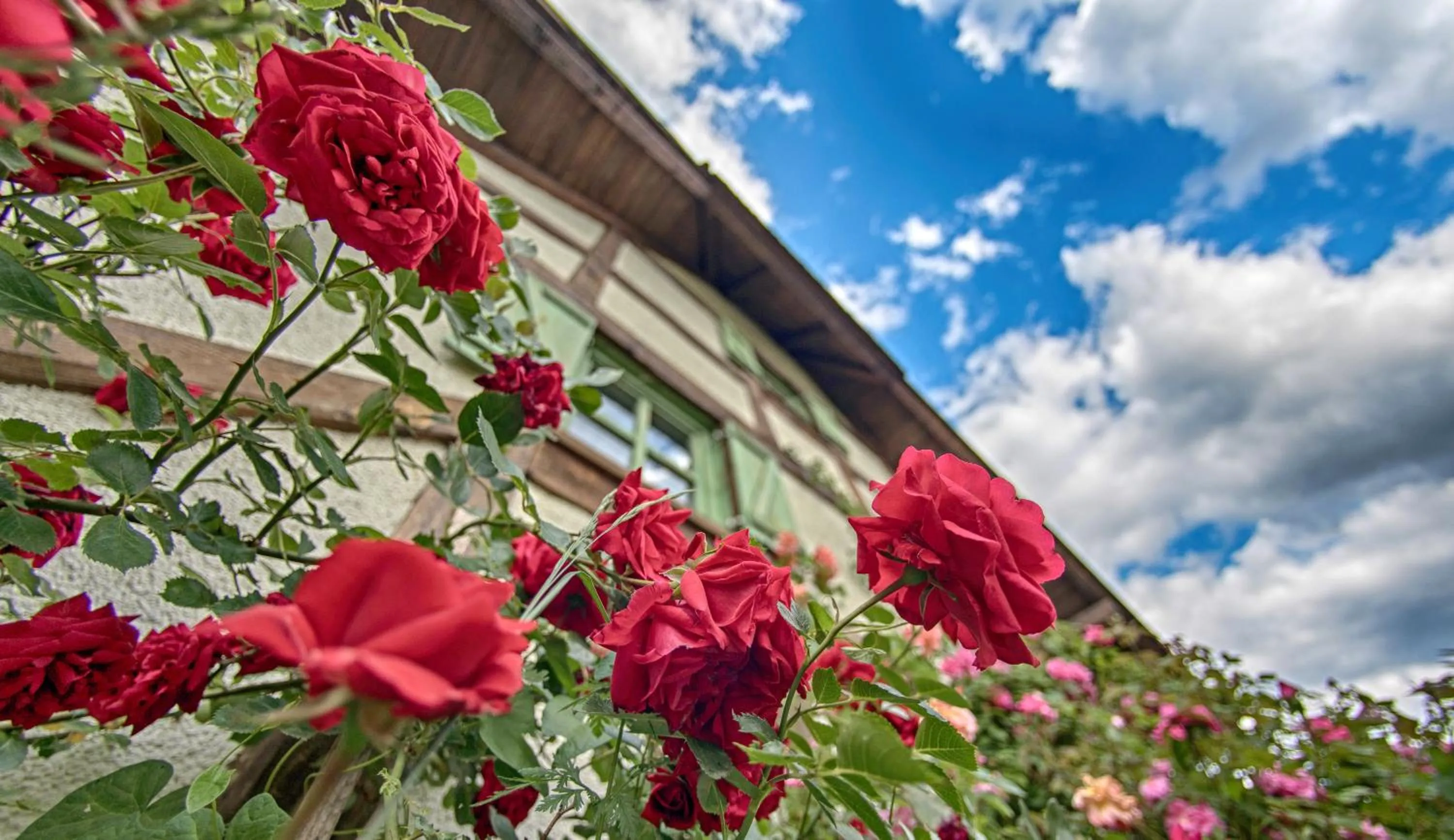 Decorative detail in Etno Village Cardaci