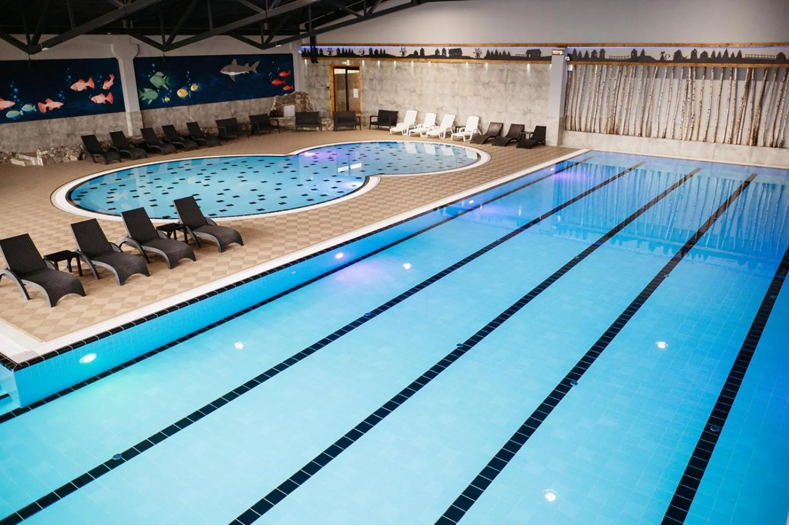 Swimming pool in Etno Village Cardaci