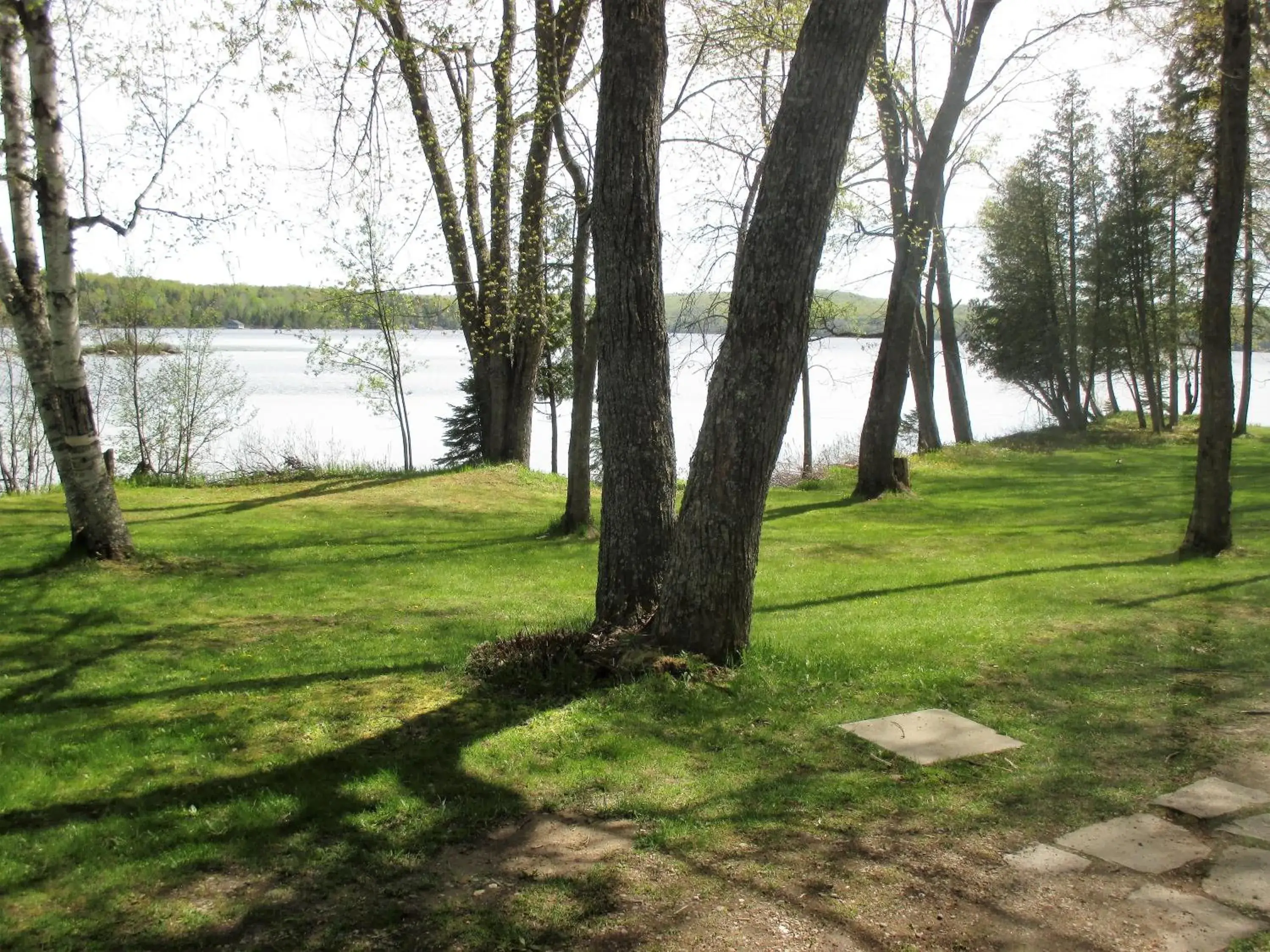 One-Bedroom Suite - Birchgrove 10 in Tally Ho Inn One-Bedroom Suite - Birchgrove 10 in Tally Ho Inn