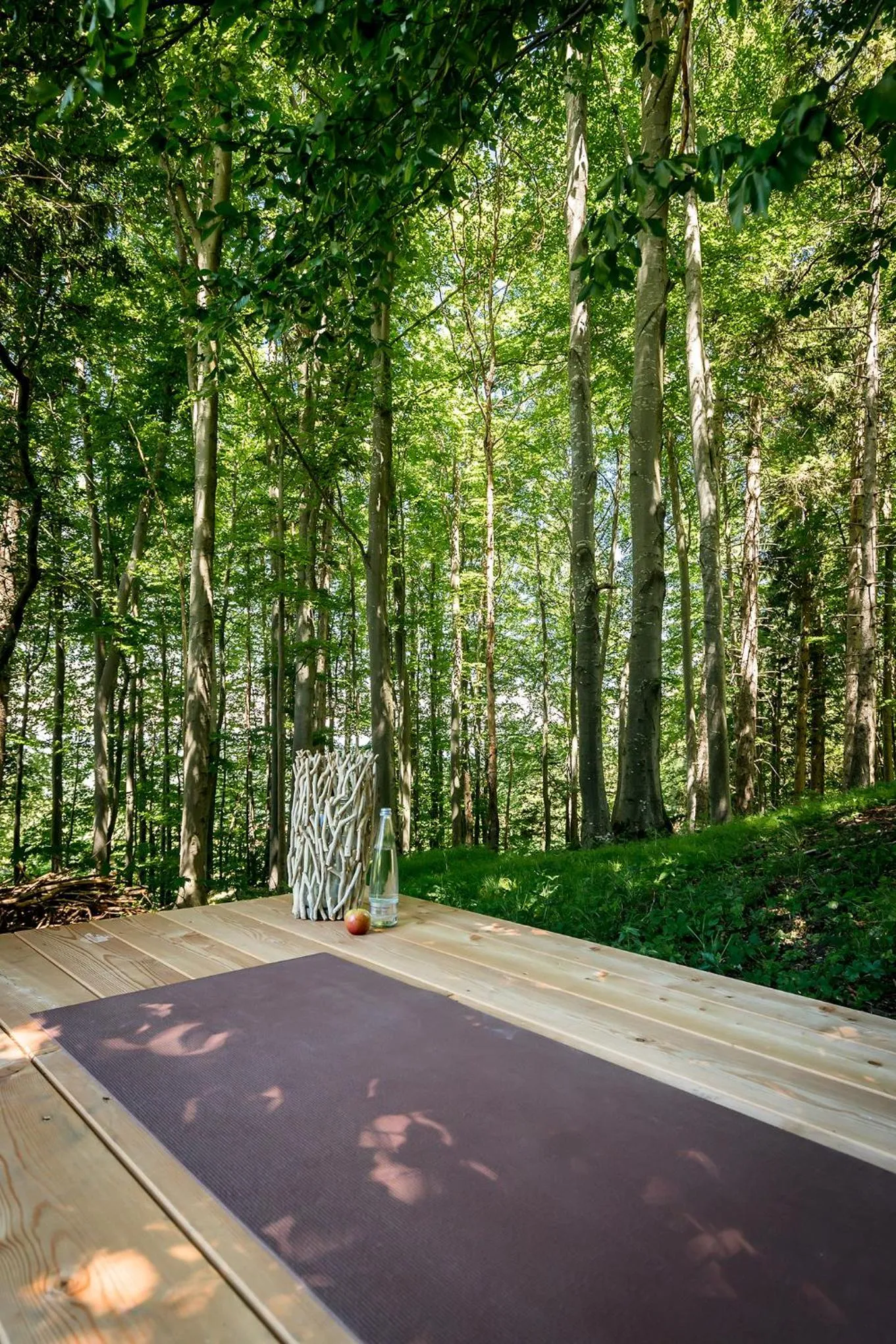 Fitness centre/facilities in Chiemsee Chalet