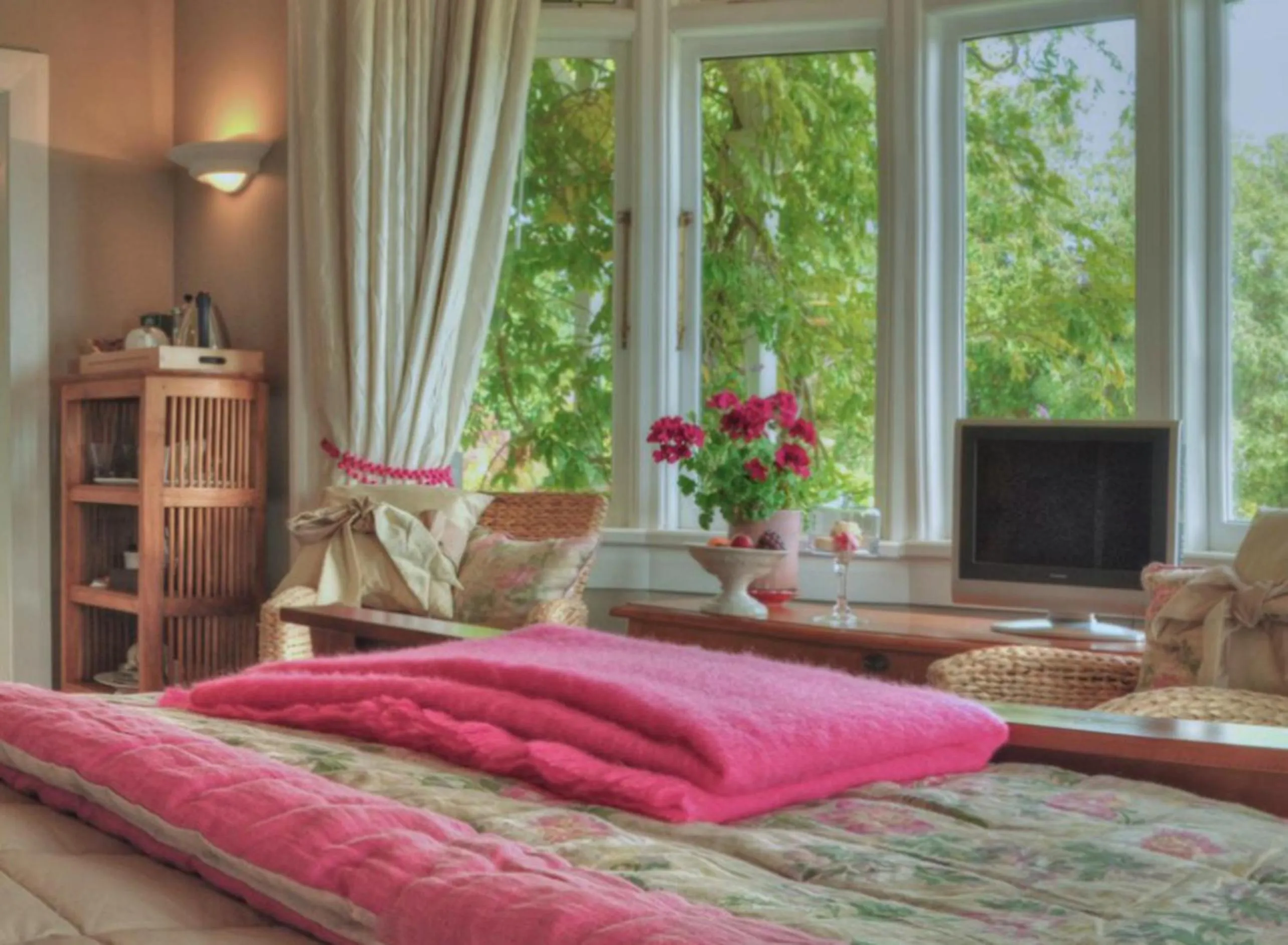 TV and multimedia in Dyers House