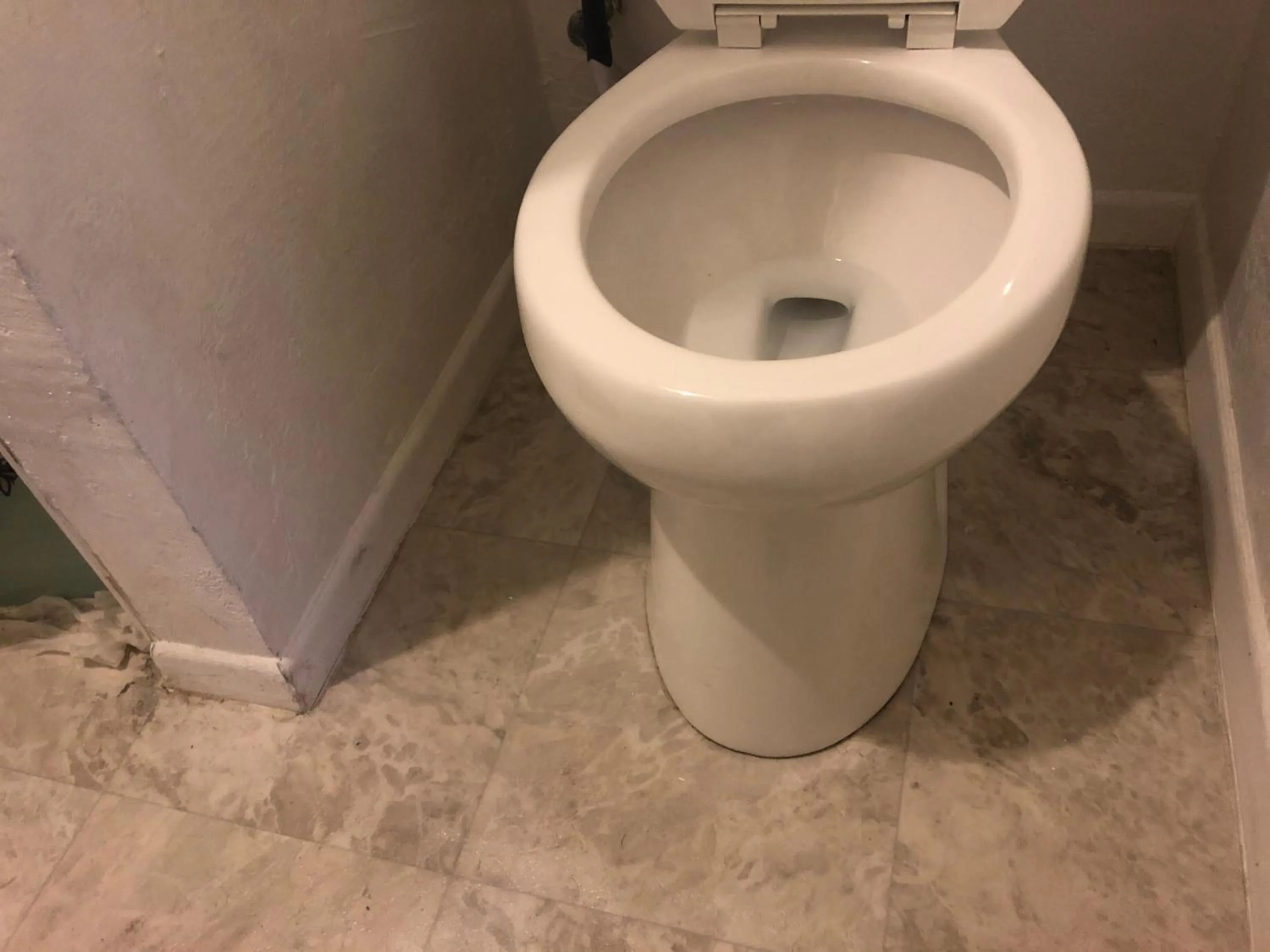 WHOLE Family - WholeVille