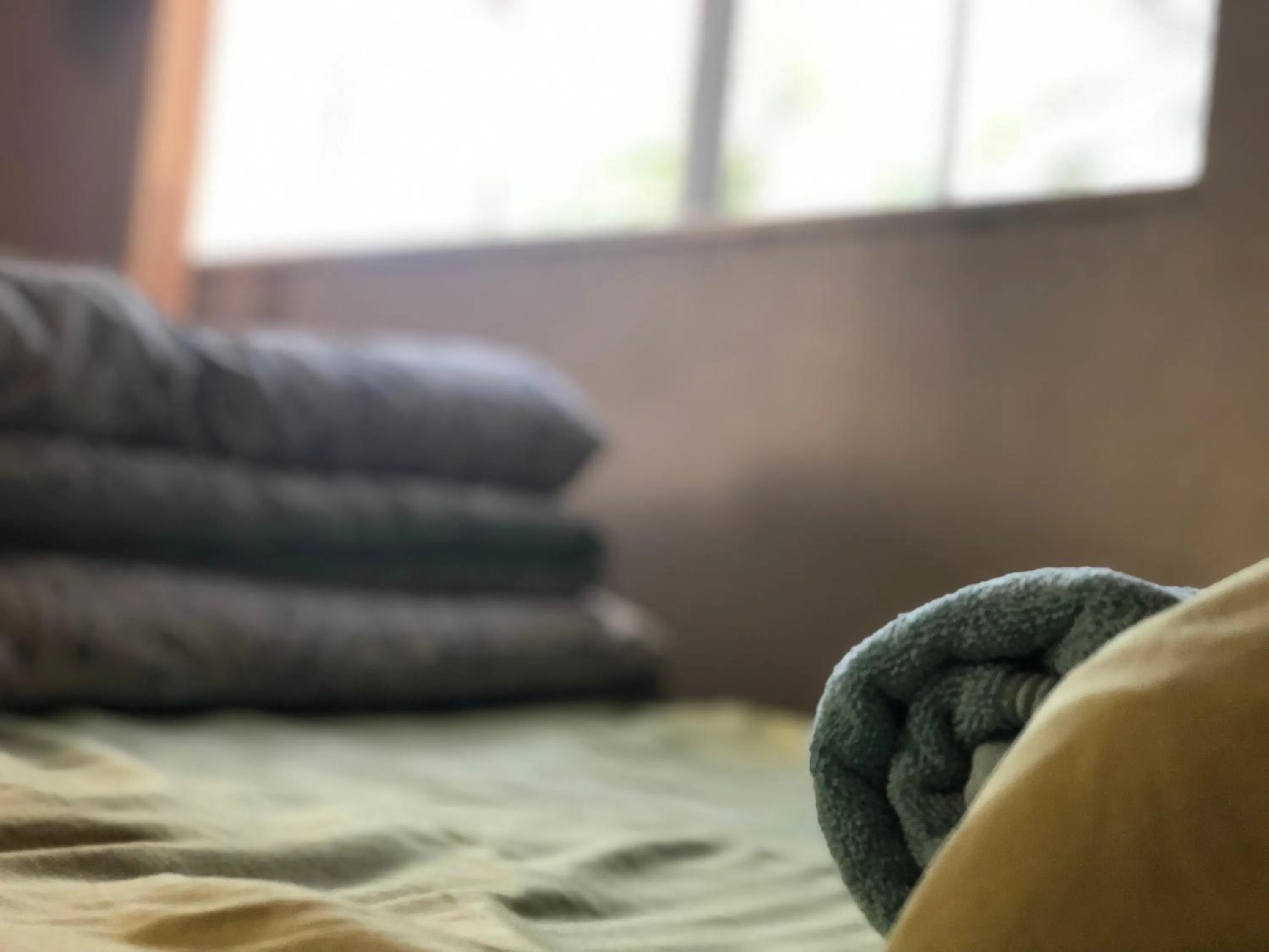 Bed in WHOLE Family - WholeVille