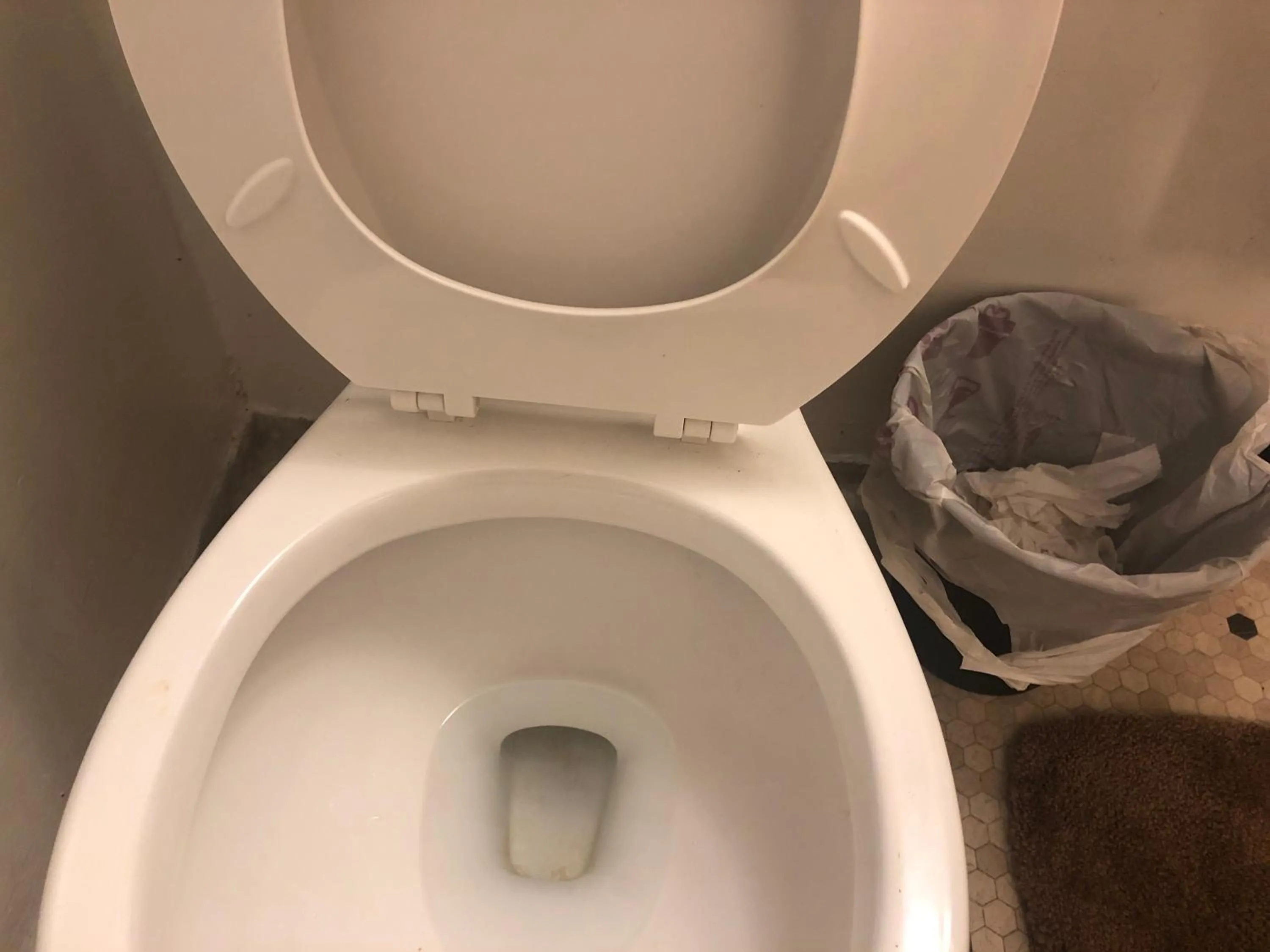 WHOLE Family - WholeVille