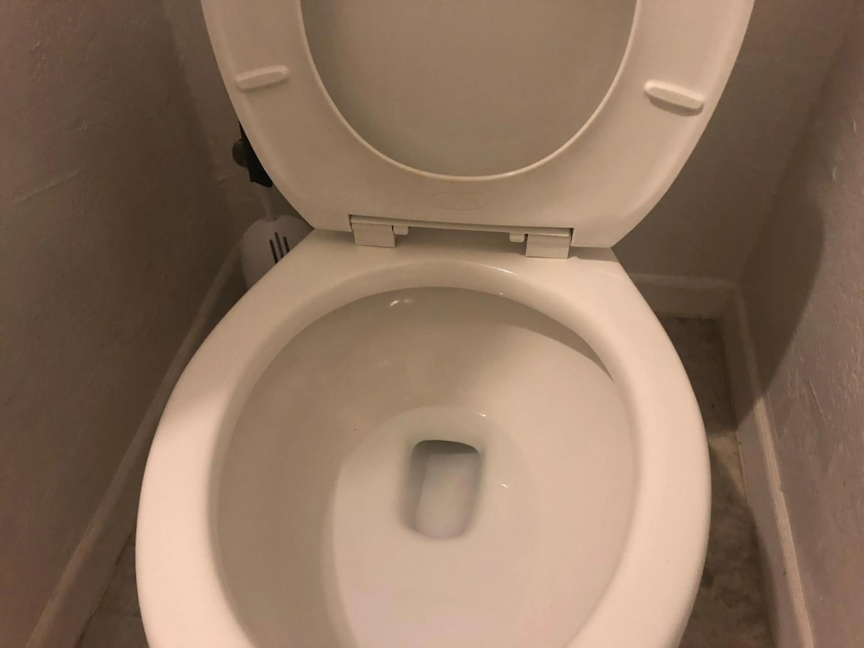 WHOLE Family - WholeVille