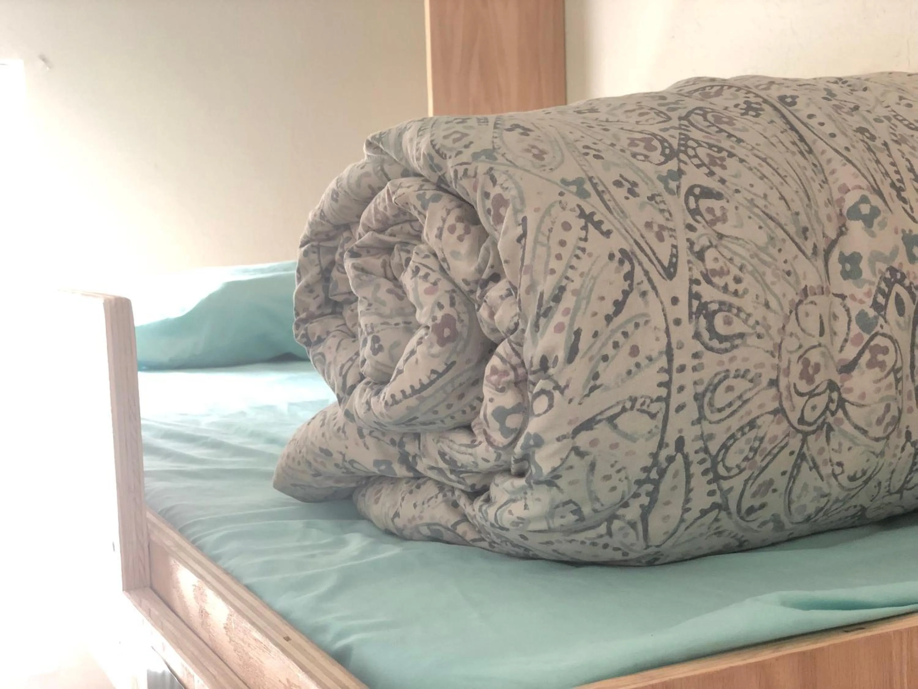 Bed in WHOLE Family - WholeVille