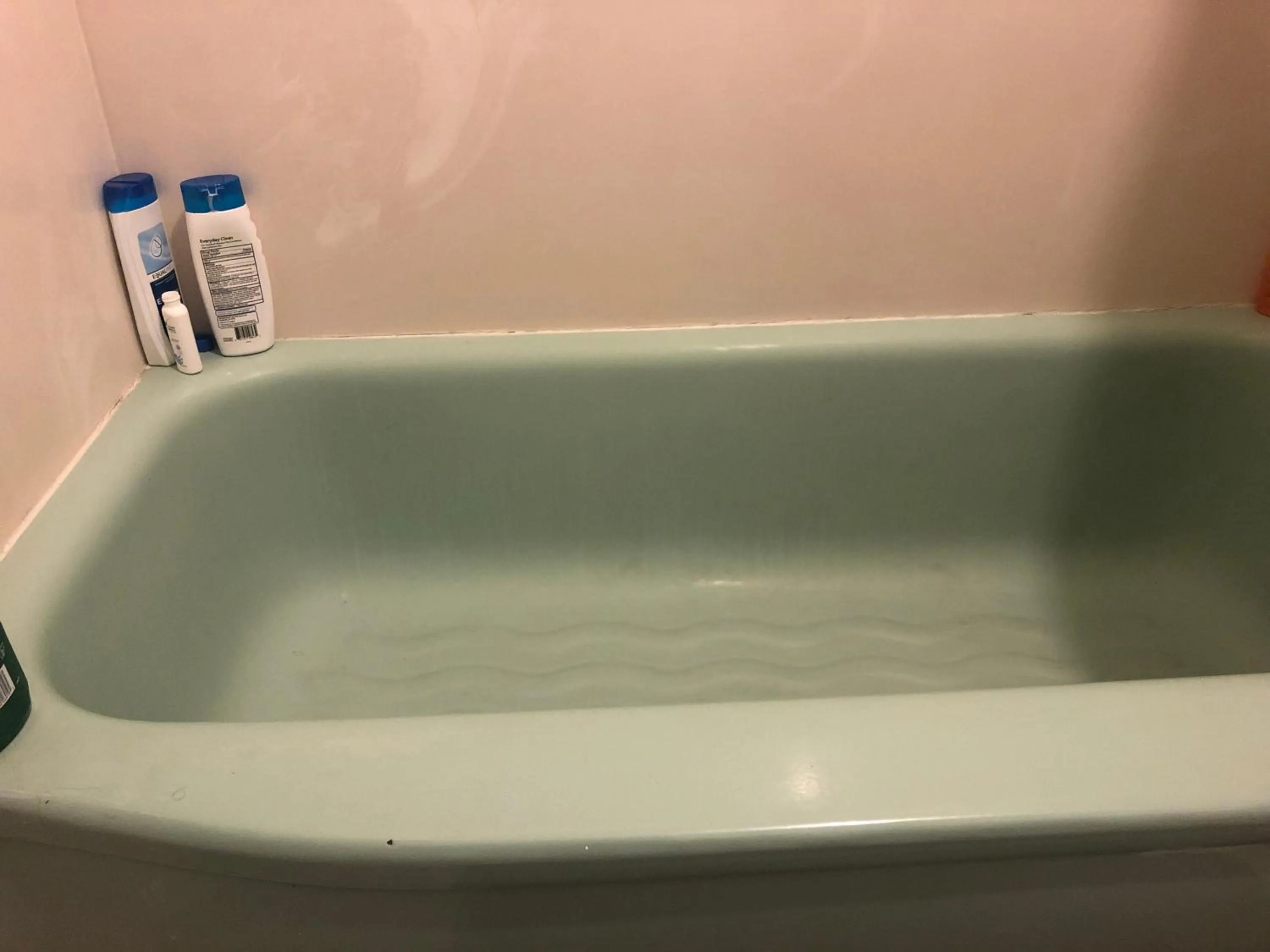 WHOLE Family - WholeVille