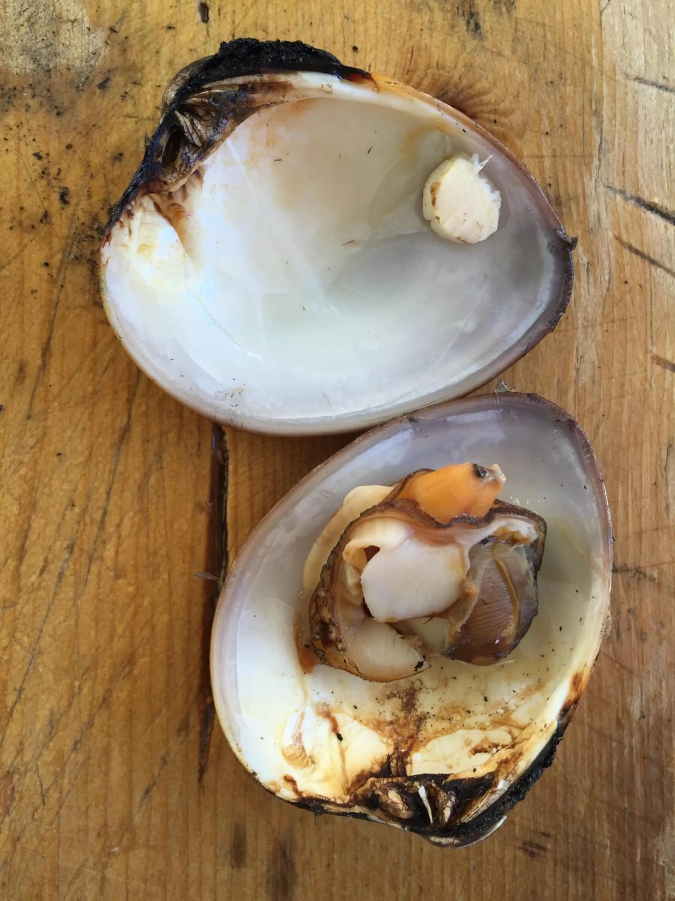 Other in Posada del Cortes