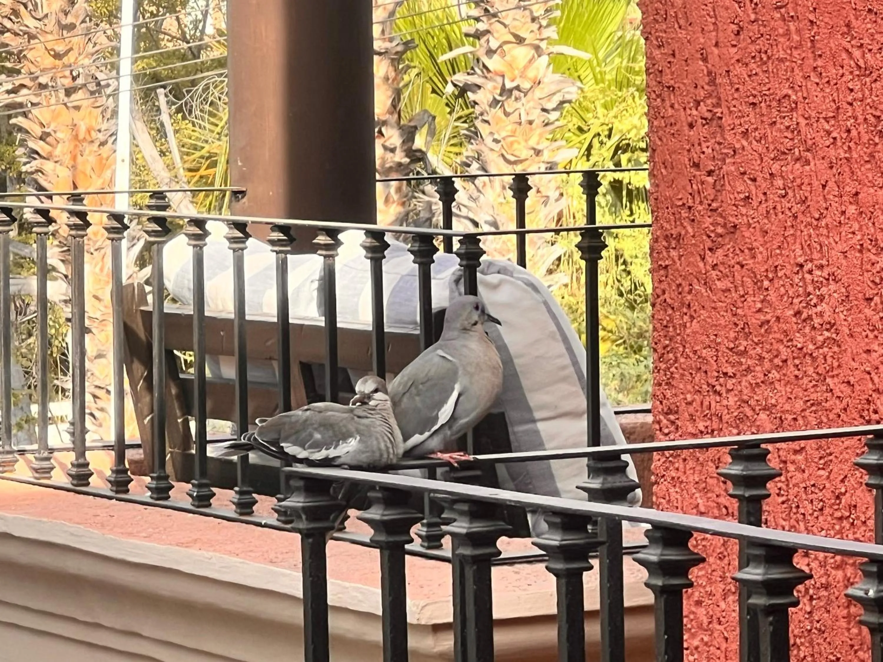 Property building in Posada del Cortes