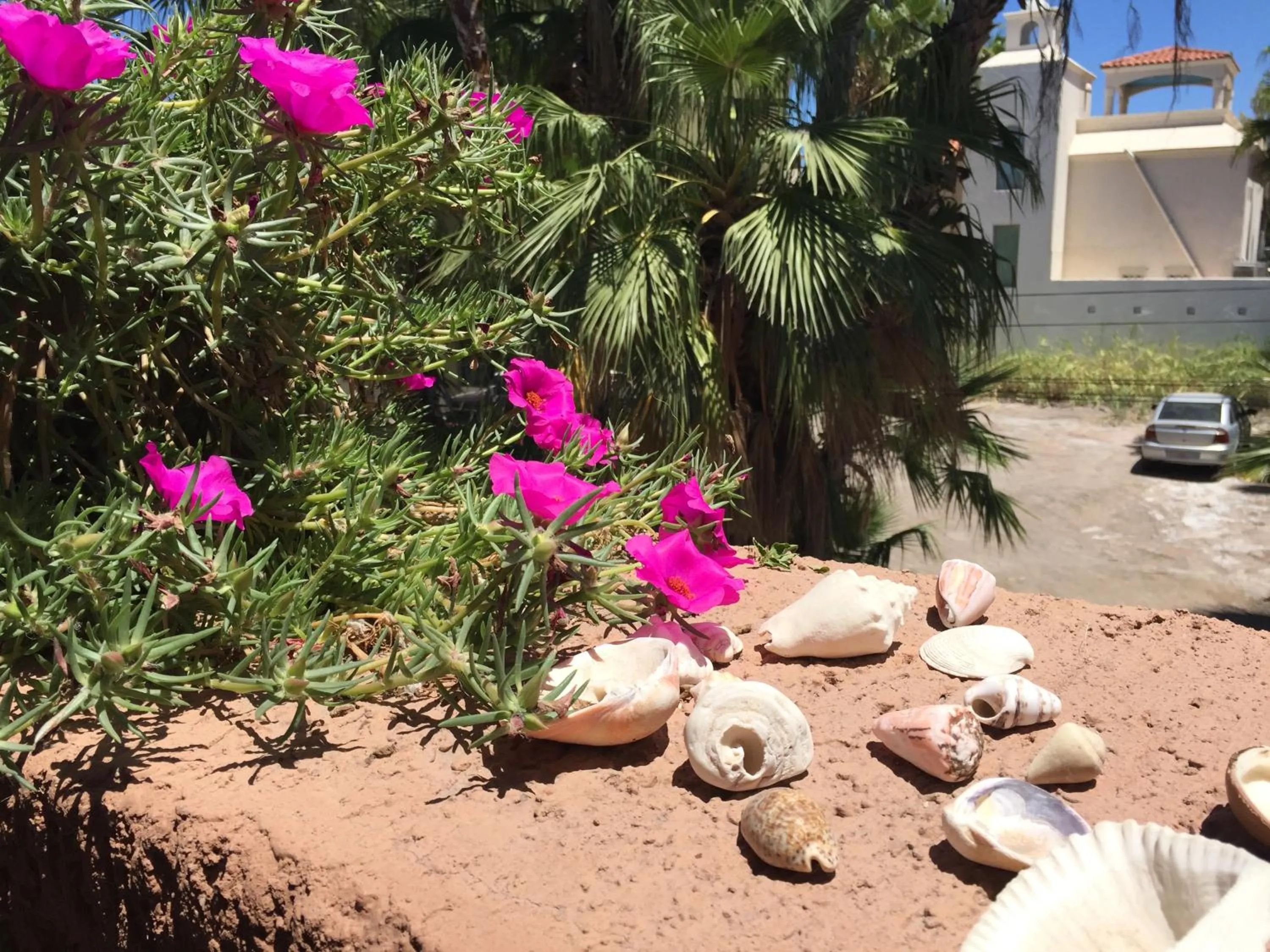 View (from property/room) in Posada del Cortes