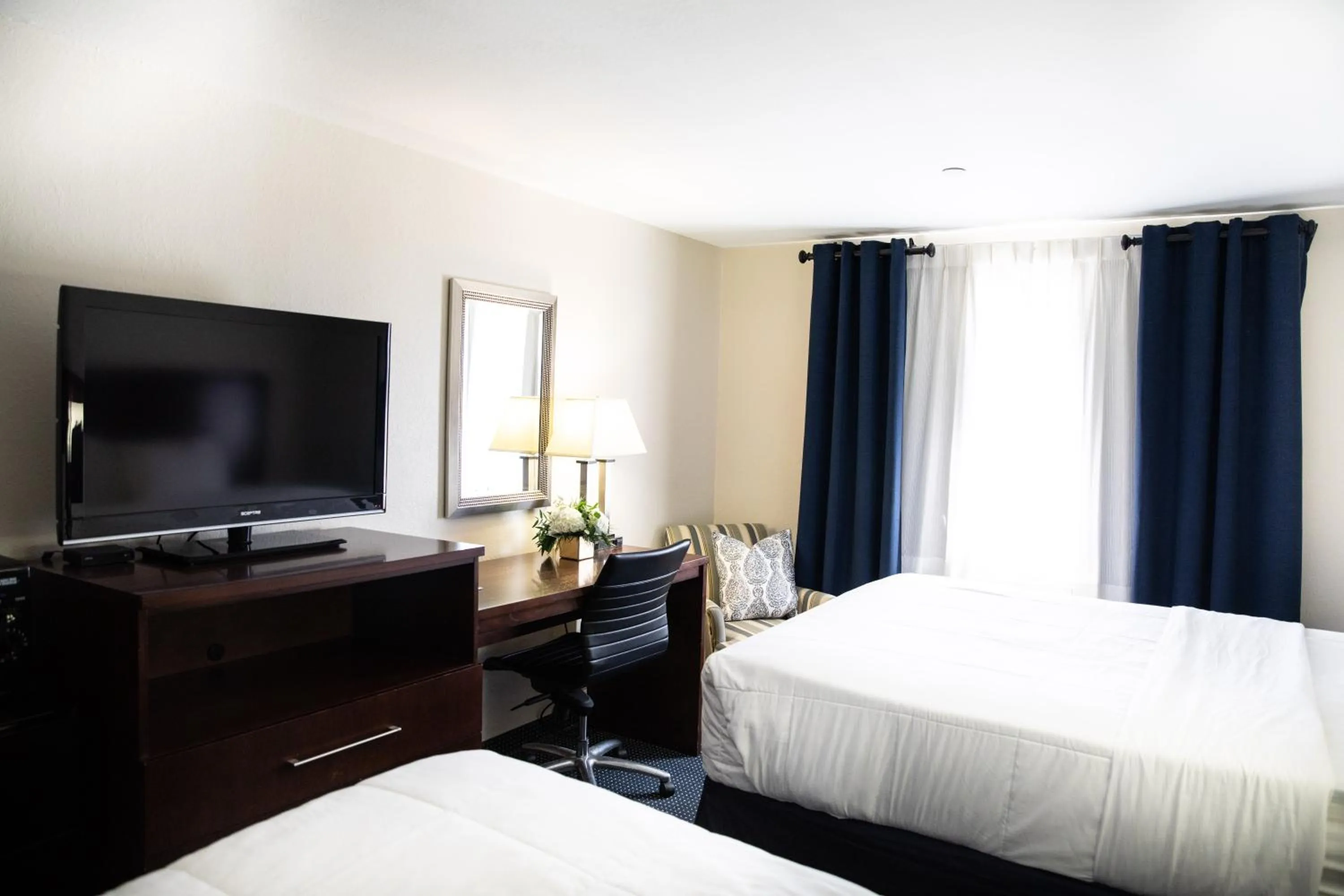 TV and multimedia in Hatfield Inn