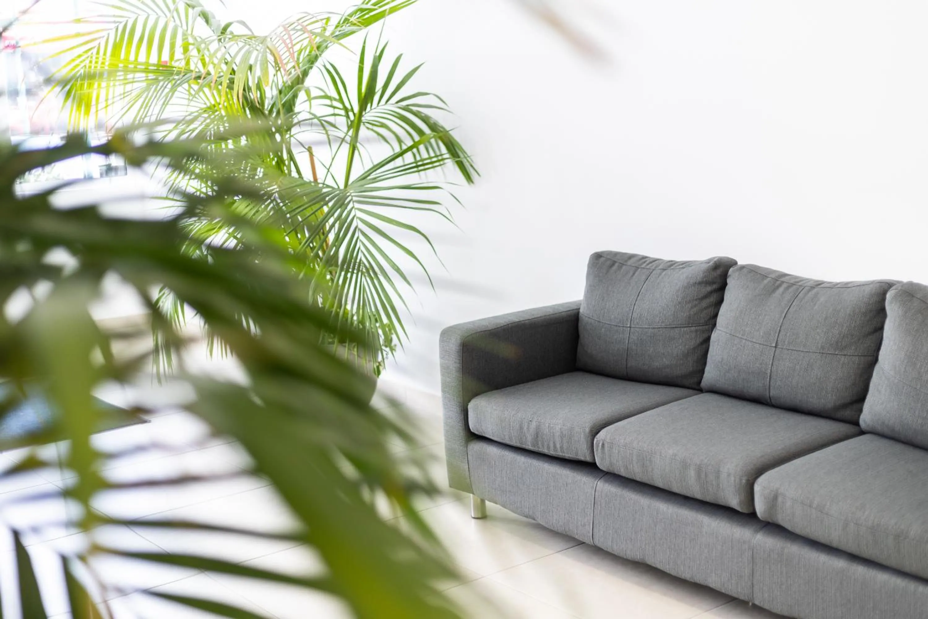 Lobby or reception in Dunas Hostel & Guesthouse