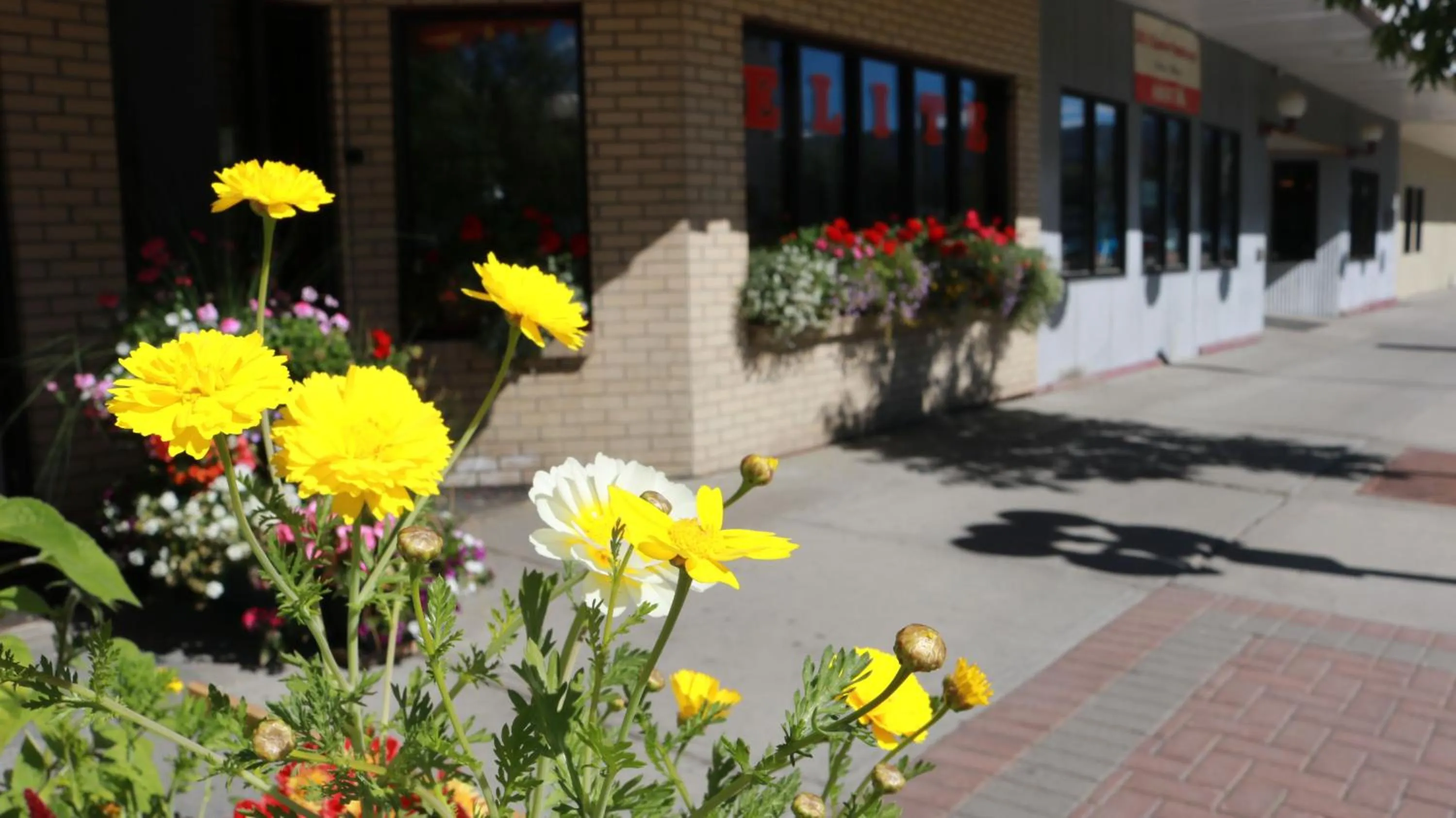 Elite Hotel -Downtown Center- "Ski & Northern light Tour" "Hot Spring Tour "Long-term stay"