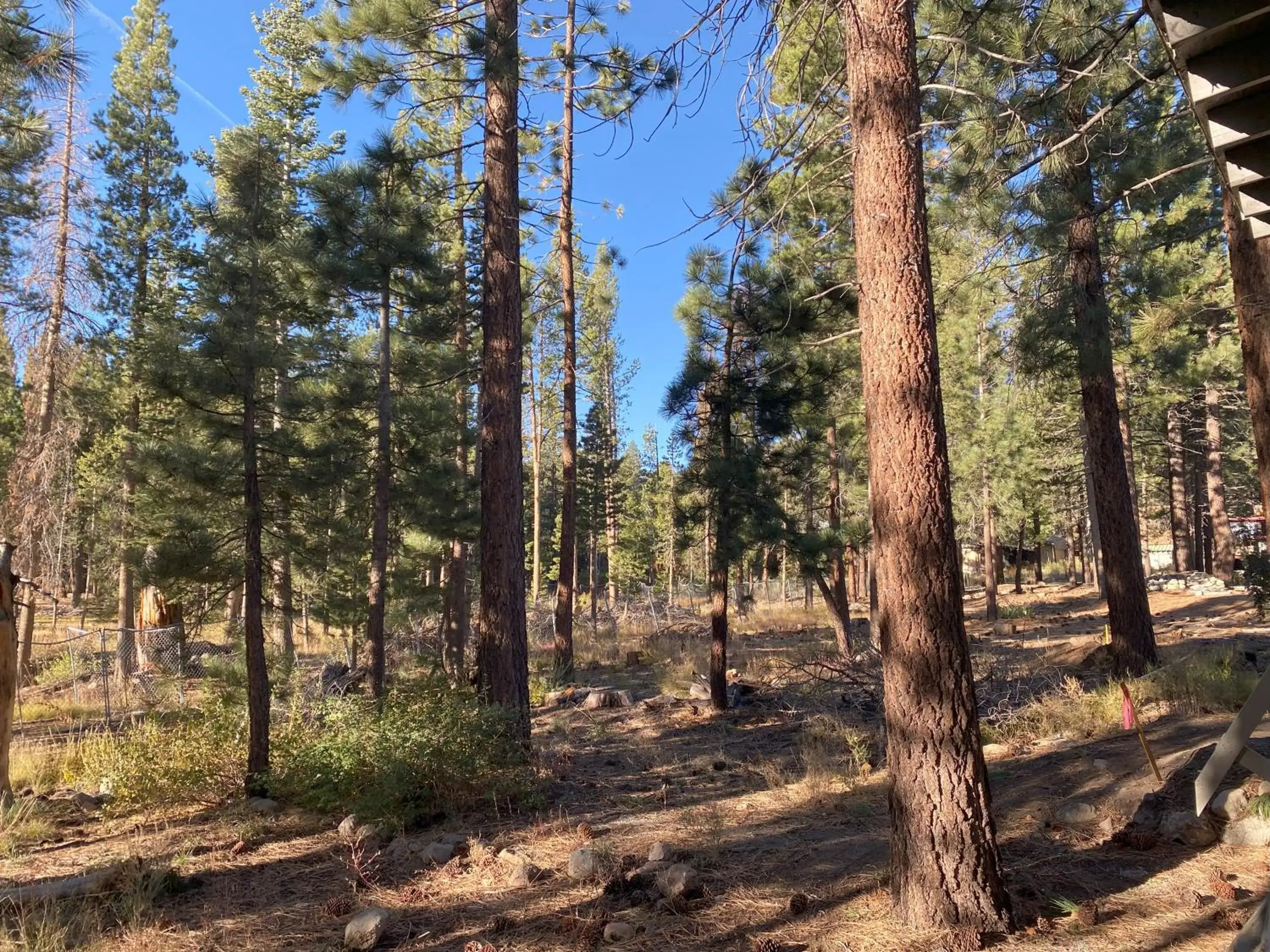 Standard Suite in Cinnamon Bear Inn Standard Suite in Cinnamon Bear Inn